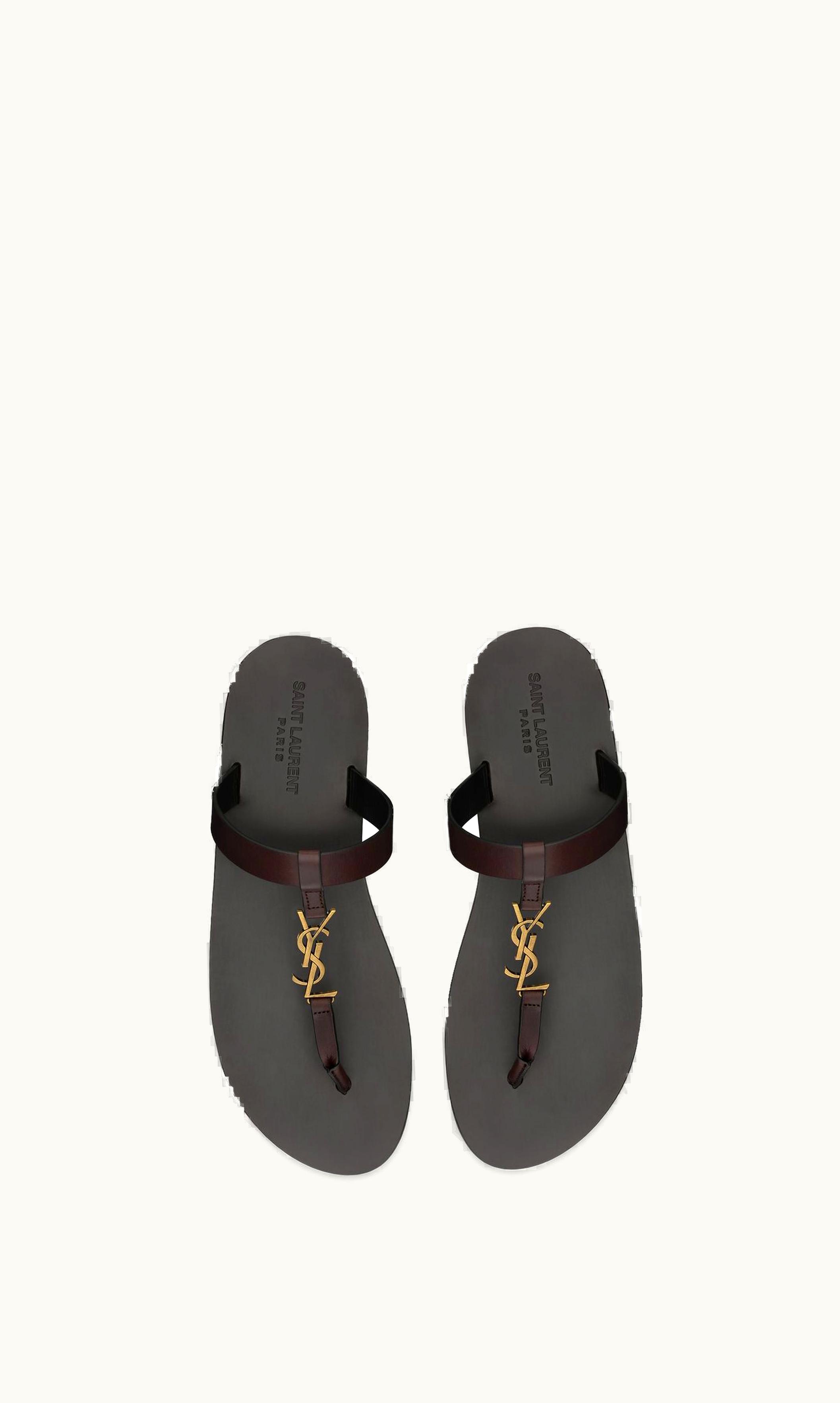Saint Laurent Saint Laurent Cassandre Slides In Smooth Leather Ultra Dark Brown