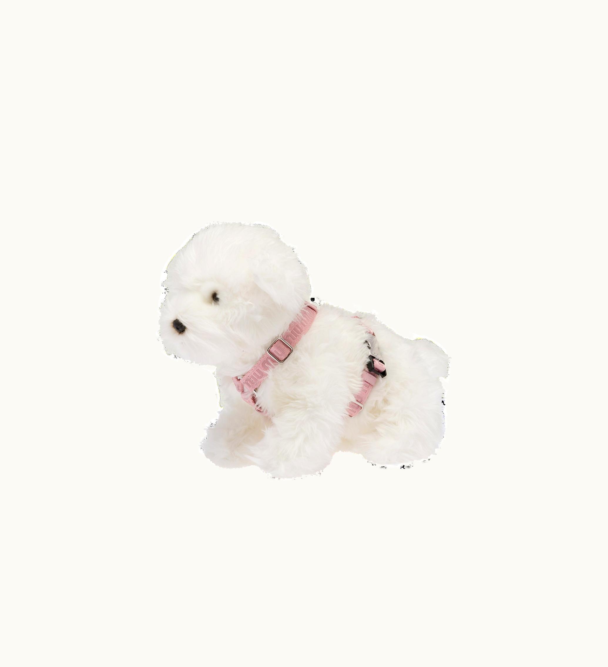 Miu Miu Miu Miu Woven Tape Dog Harness Alabaster Pink