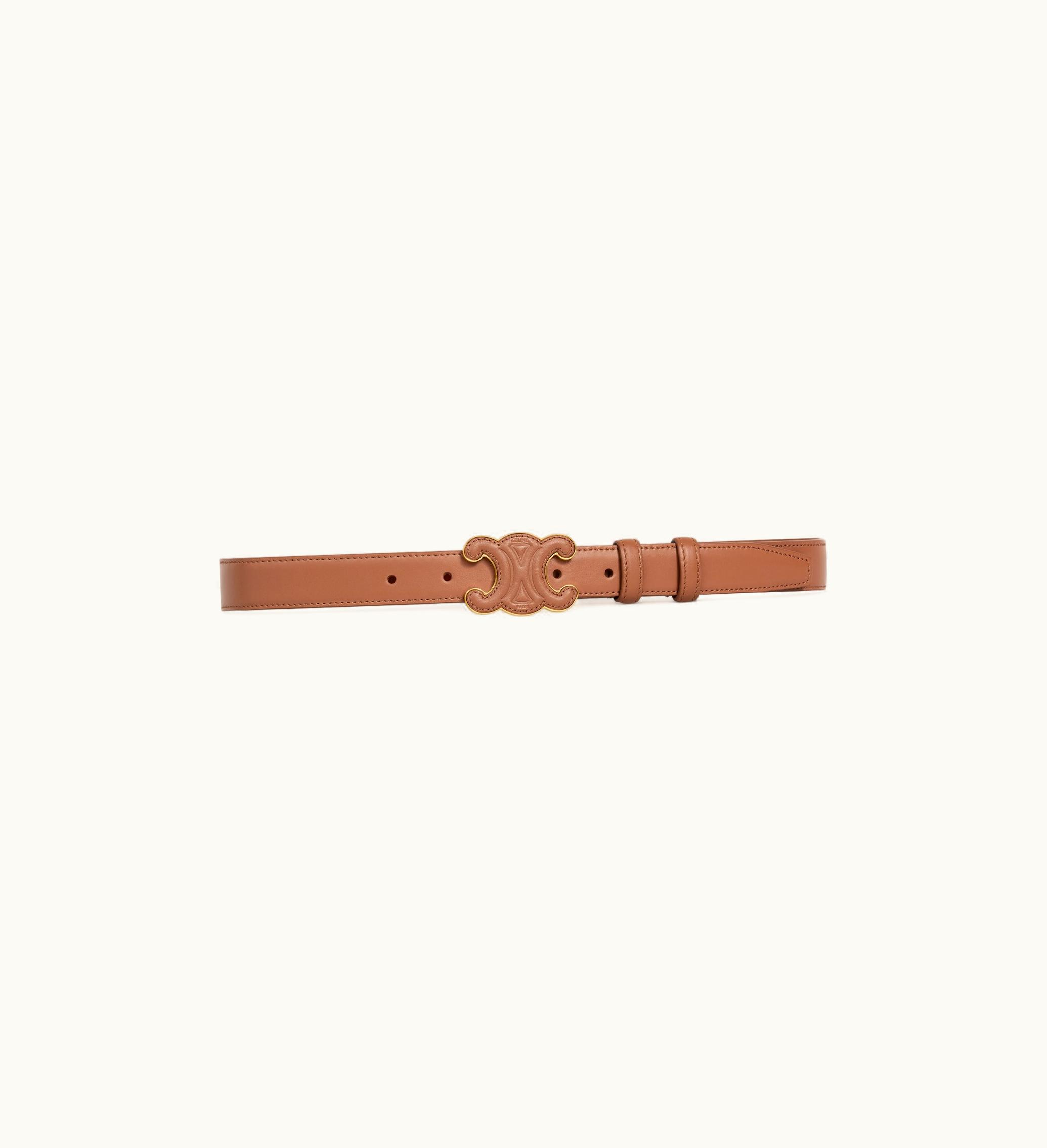 Celine Celine Medium Cuir Triomphe Belt In Taurillon Leather - Bronze