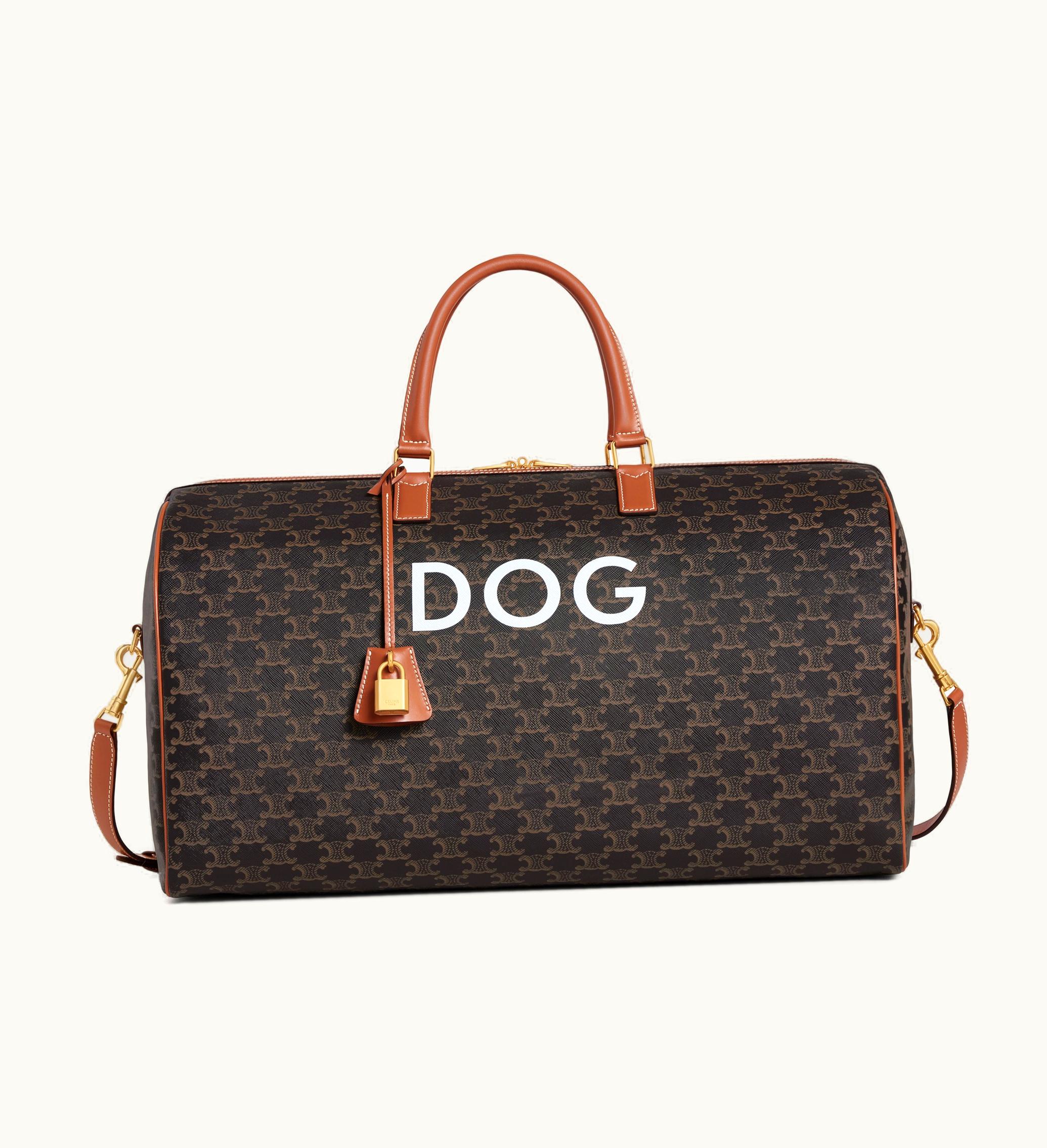 Celine Celine Travel 50 In Triomphe Canvas With Dog Print - Tan