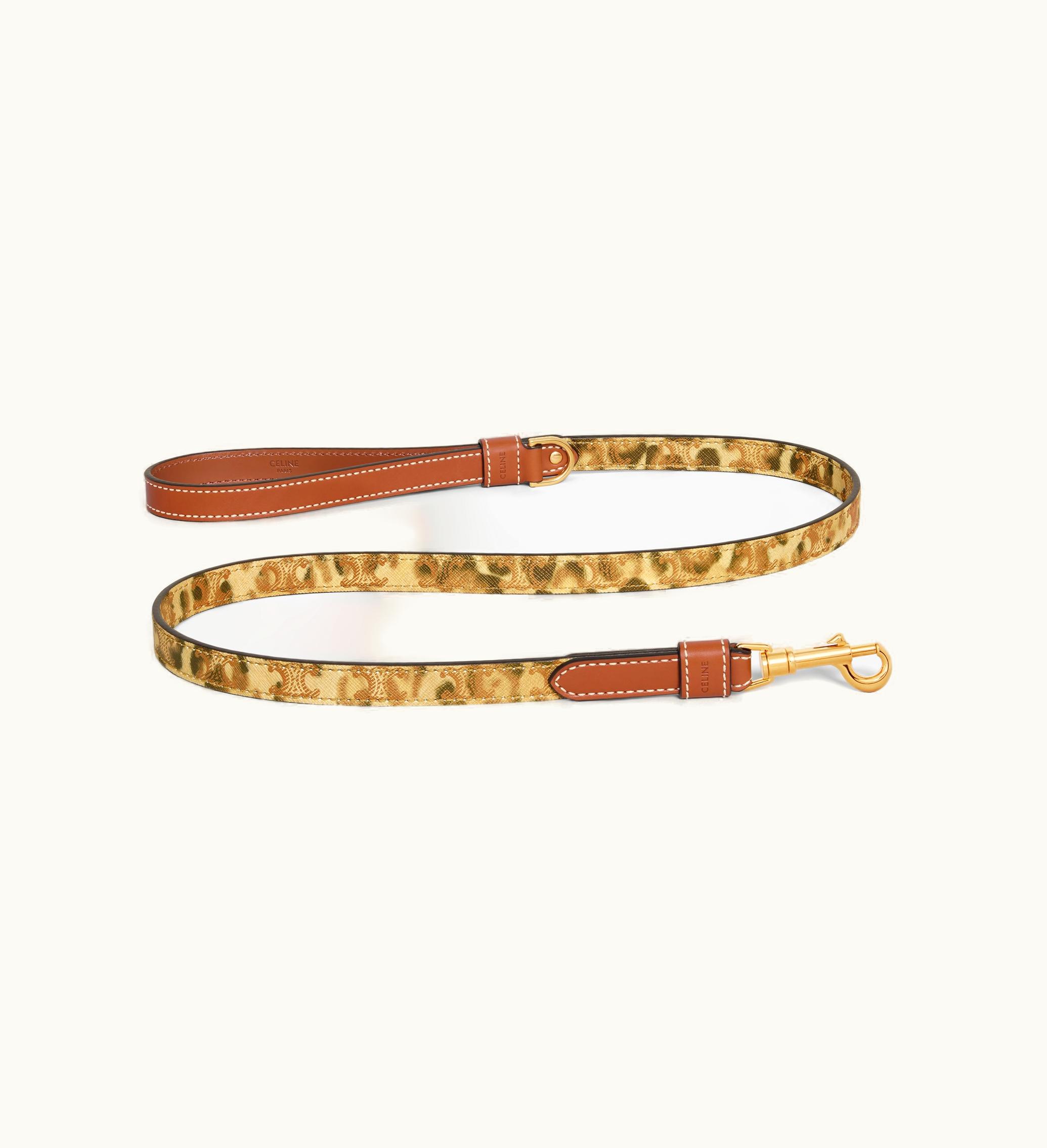 Celine Celine Thin Dog Leash In Triomphe Canvas With Leopard Print And Calfskin - Leopard