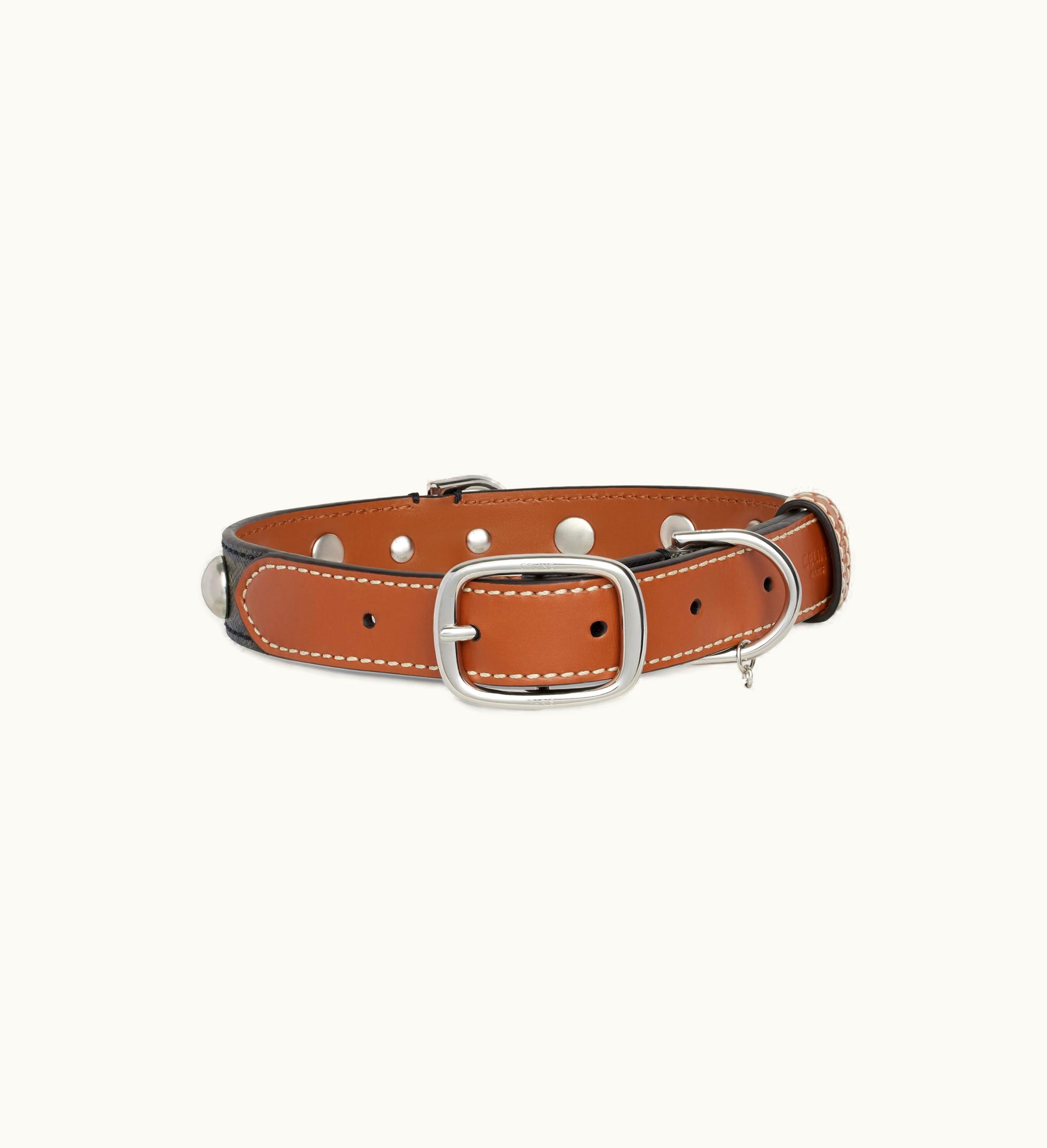 Celine Celine Medium Large Dog Collar In Triomphe Canvas And Calfskin With Studs - Tan