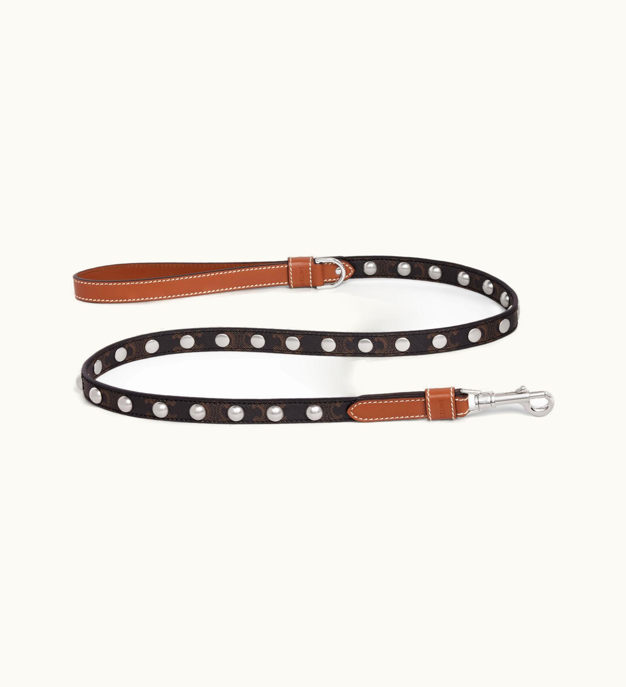 Celine Celine Thin Dog Leash In Triomphe Canvas And Calfskin With Studs - Tan