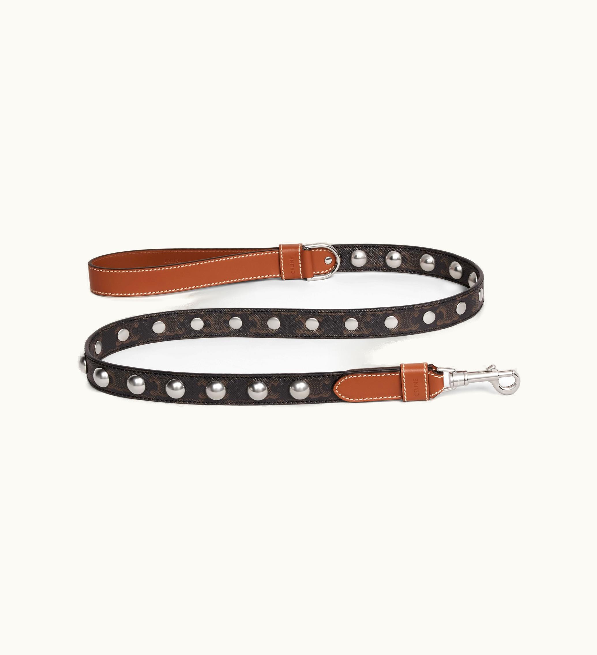 Celine Celine Wide Dog Leash In Triomphe Canvas And Calfskin With Studs - Tan
