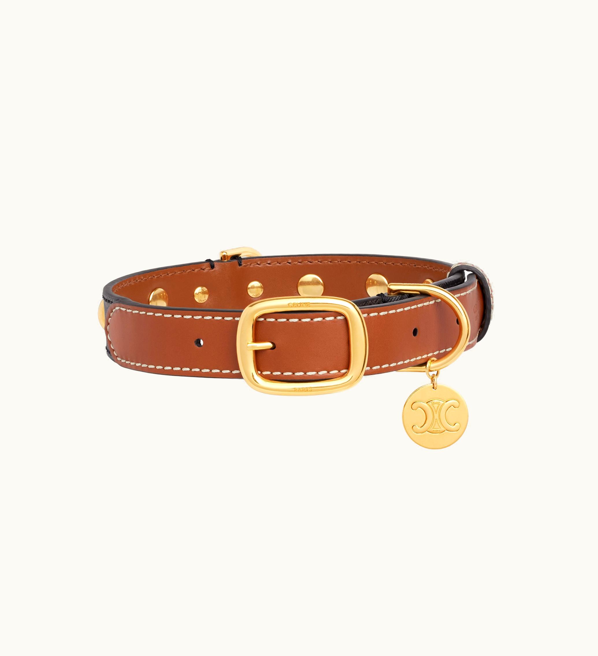 Celine Celine Large Medium Dog Collar In Triomphe Canvas And Calfskin - Tan