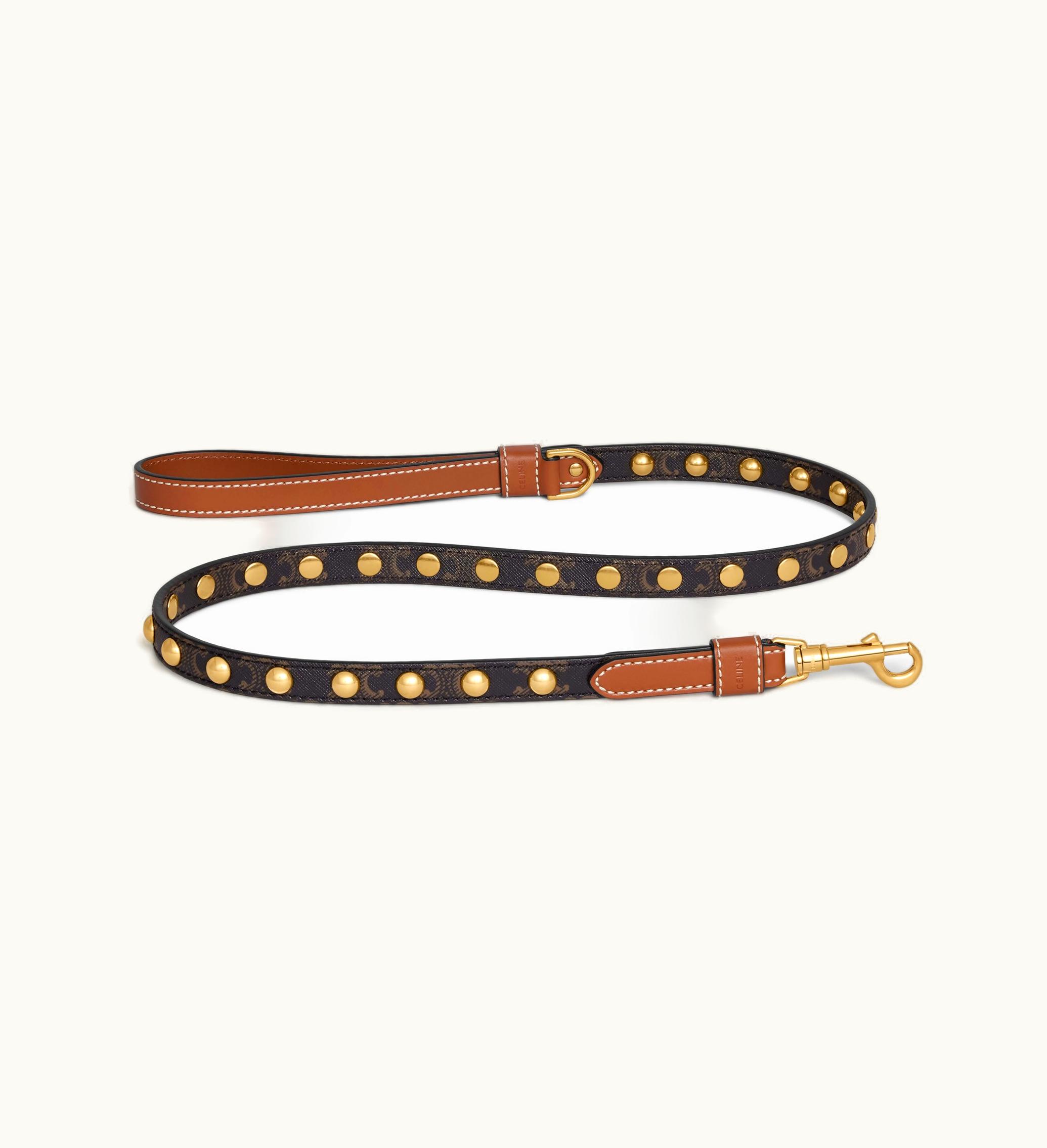 Celine Celine Thin Dog Leash In Triomphe Canvas And Calfskin With Studs - Tan Tan