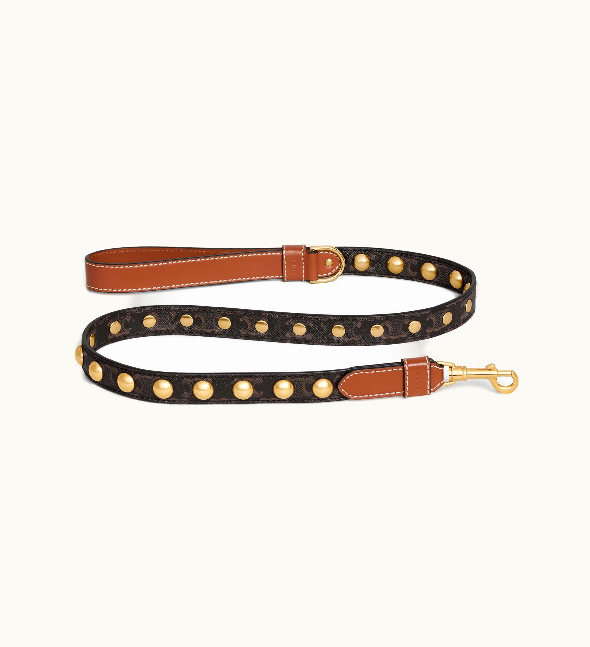 Celine Celine Wide Dog Leash In Triomphe Canvas And Calfskin With Studs - Tan Tan
