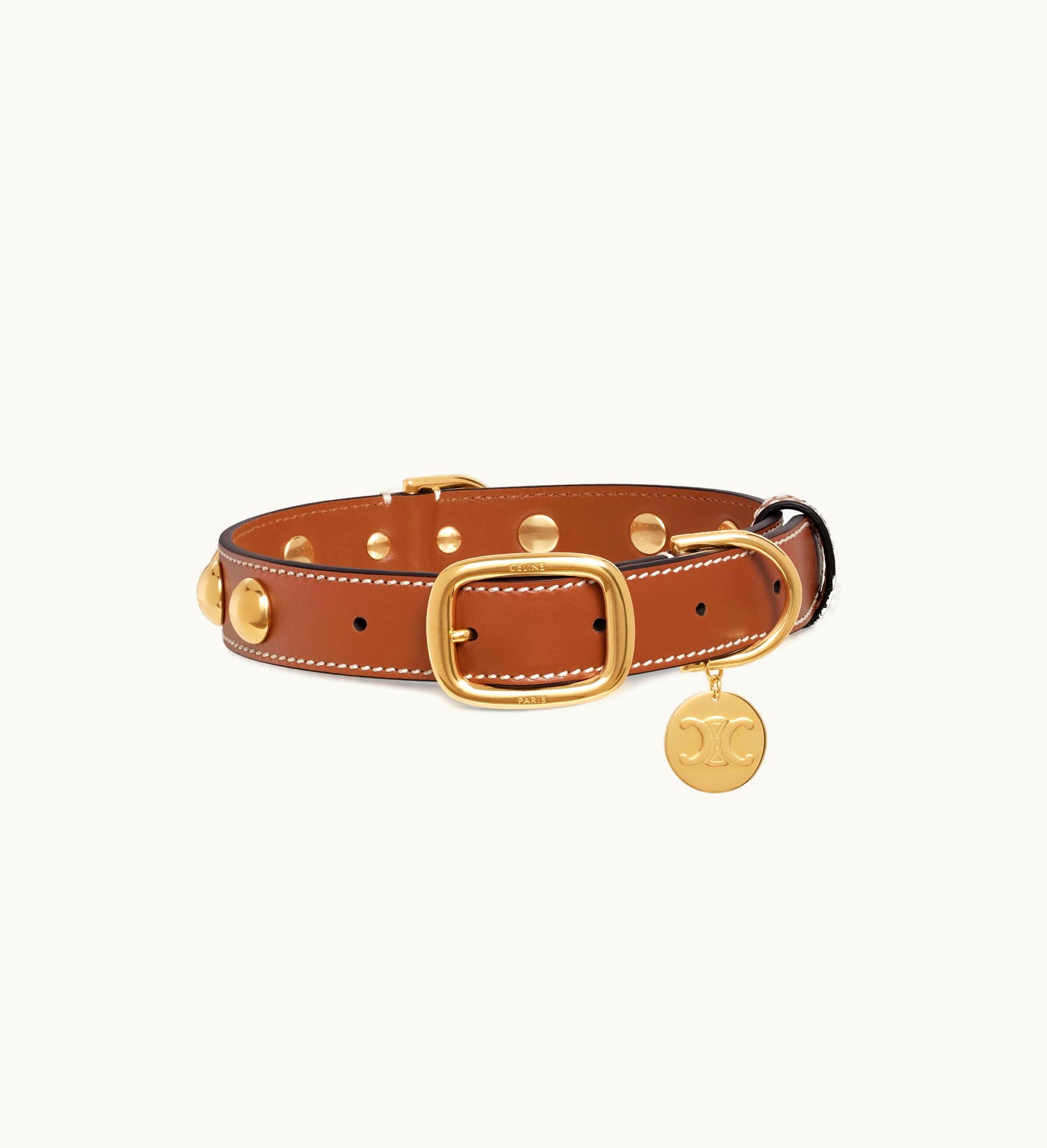 Celine Celine Wide Medium Dog Collar In Smooth Calfskin With Studs - Tan