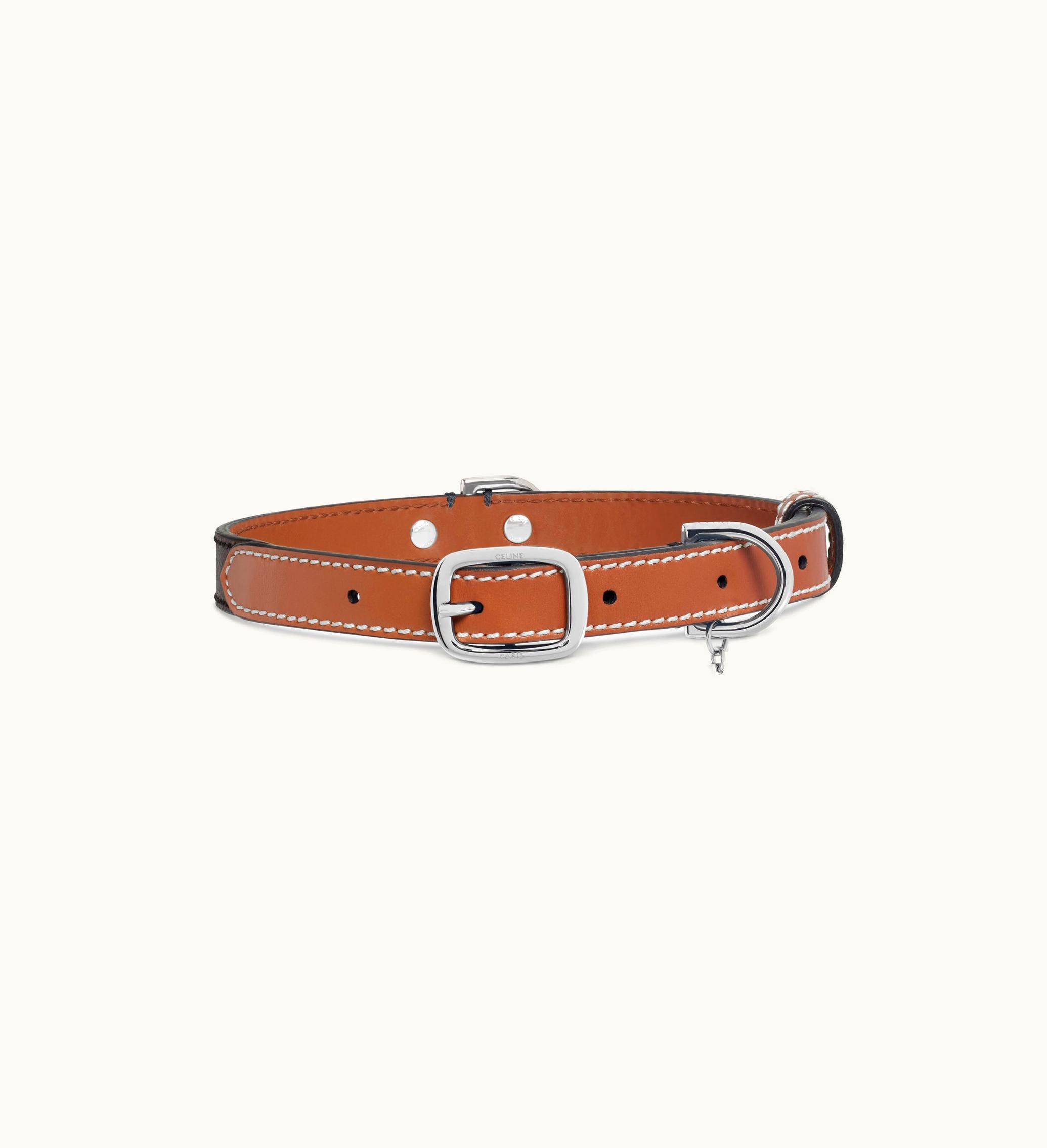 Celine Celine Thin Medium Dog Collar In Triomphe Canvas And Calfskin - Tan