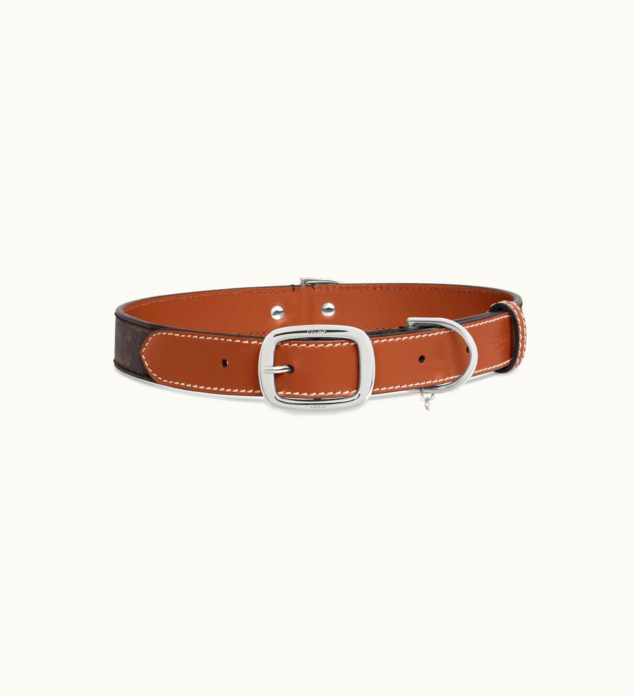 Celine Celine Wide Large Dog Collar In Triomphe Canvas And Calfskin - Tan