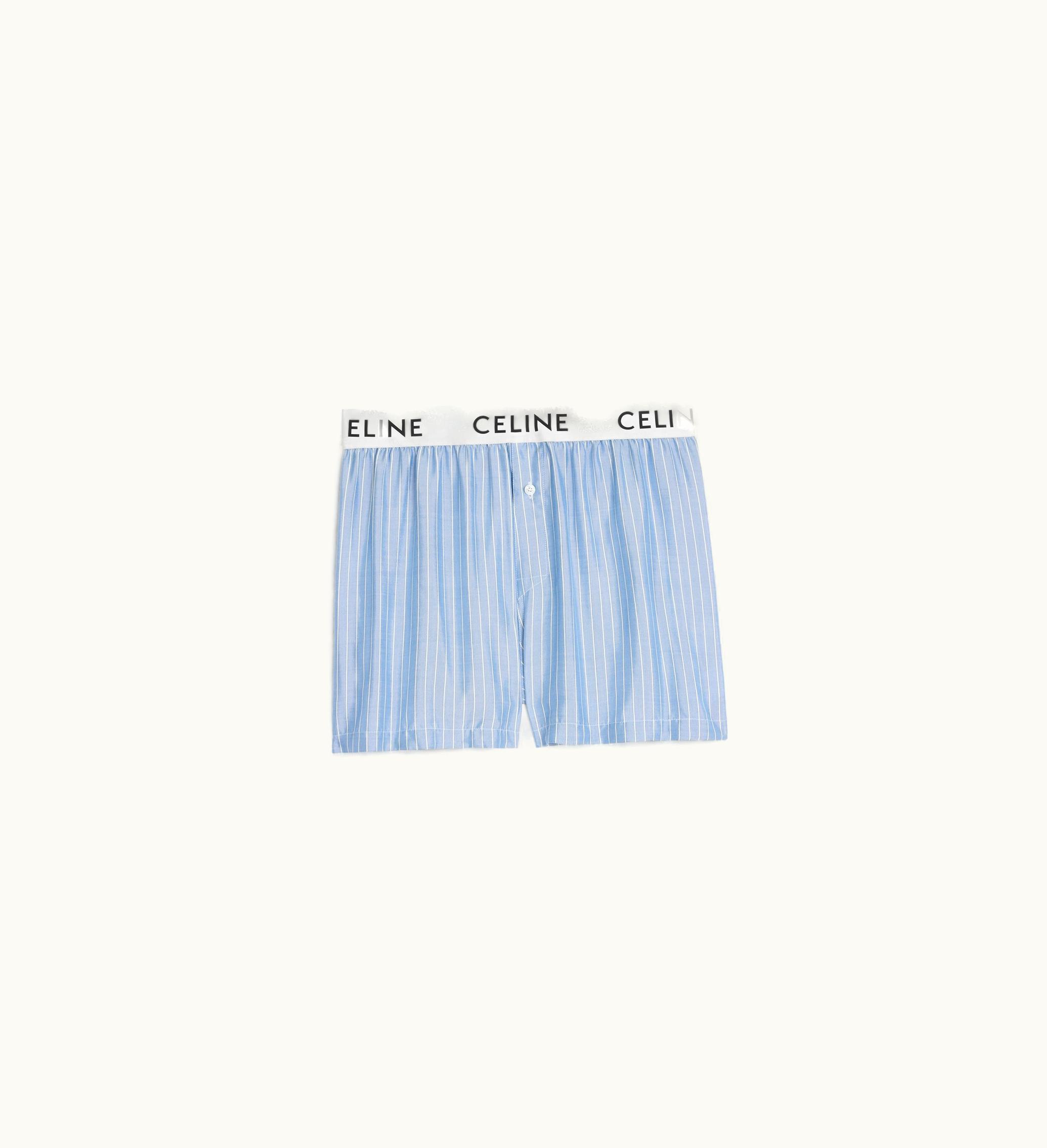 Celine Celine Boxers In Striped Silk - Bleu Ciel / Craie