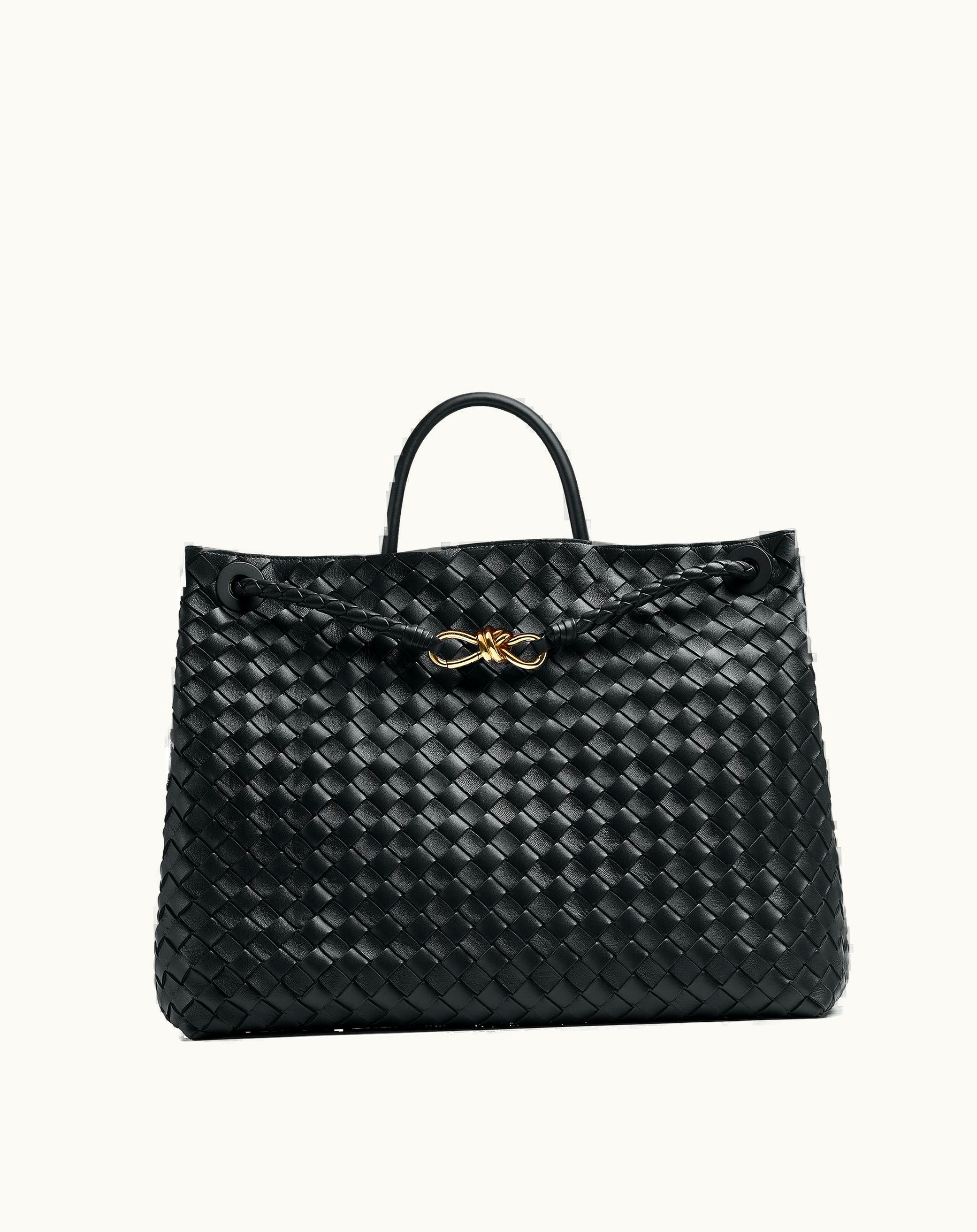 Bottega Veneta Bottega Veneta Women's Large Andiamo In Black