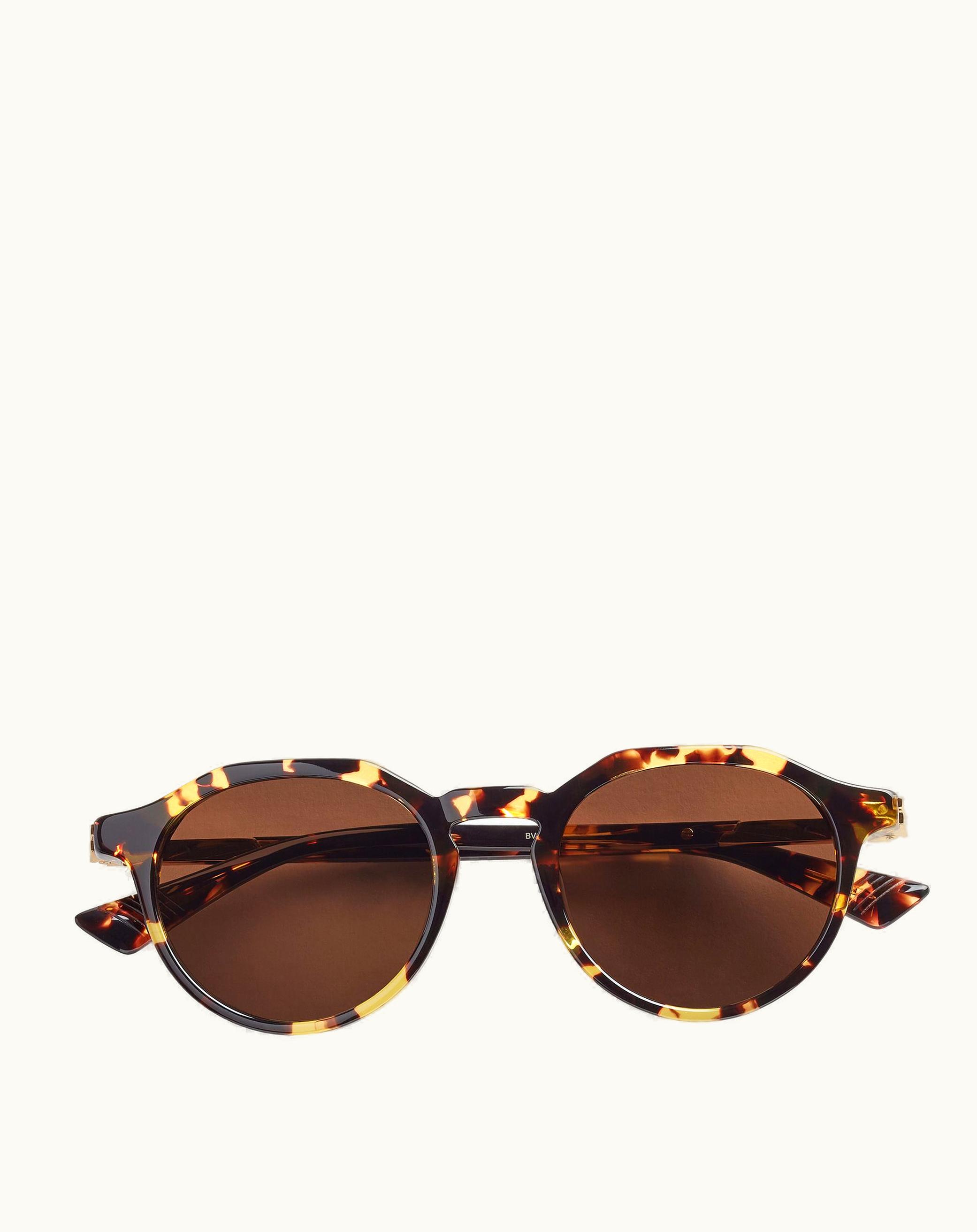 Bottega Veneta Bottega Veneta Men's Forte Panthos Sunglasses In Havana / Brown