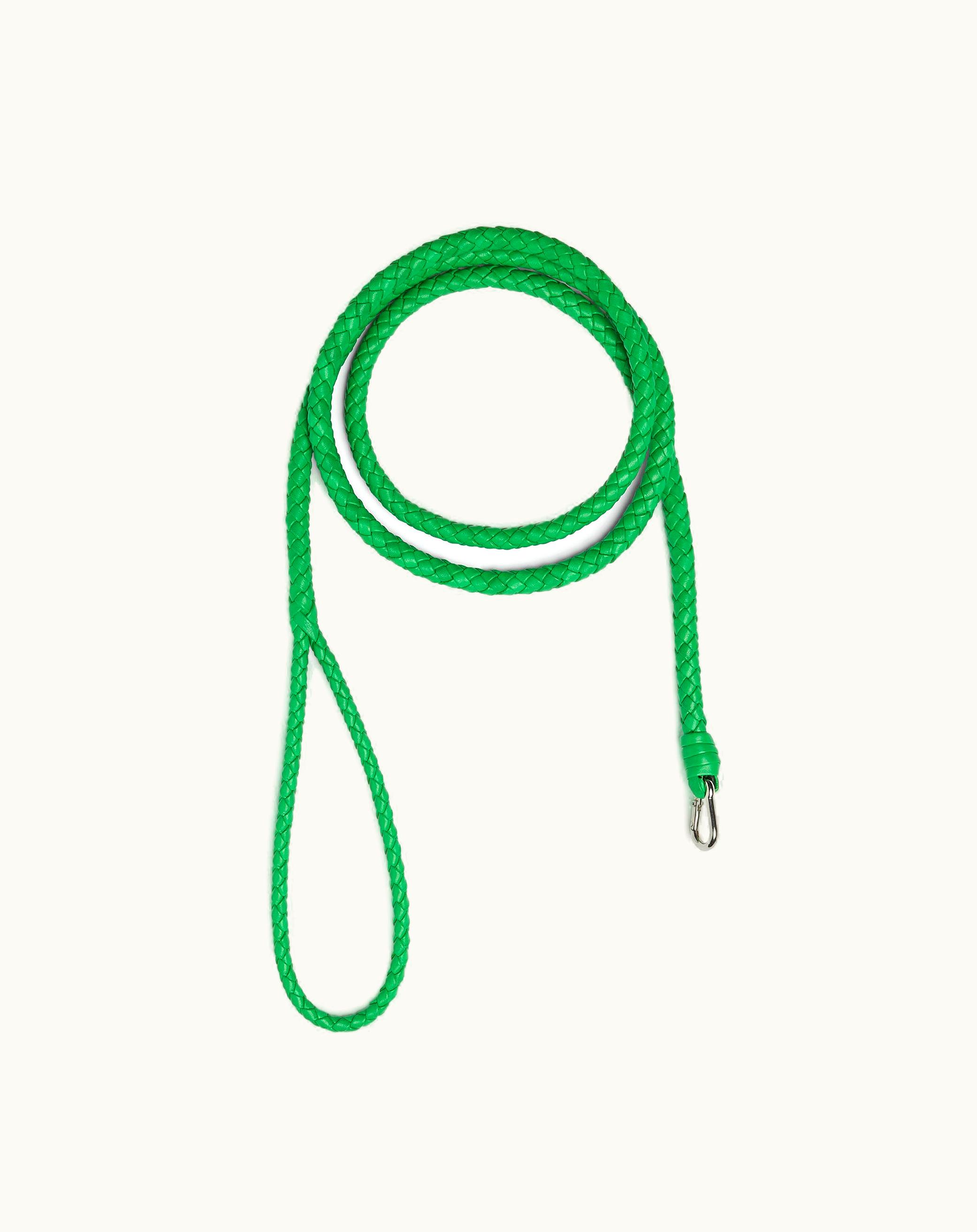 Bottega Veneta Bottega Veneta XS Intrecciato Pet Leash In Parakeet