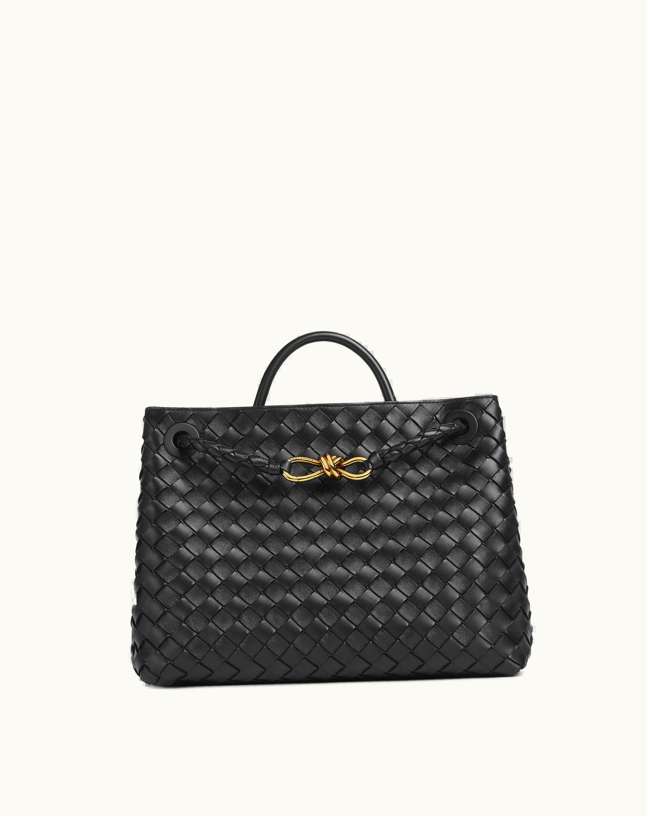 Bottega Veneta Bottega Veneta Women's Medium Andiamo In Black
