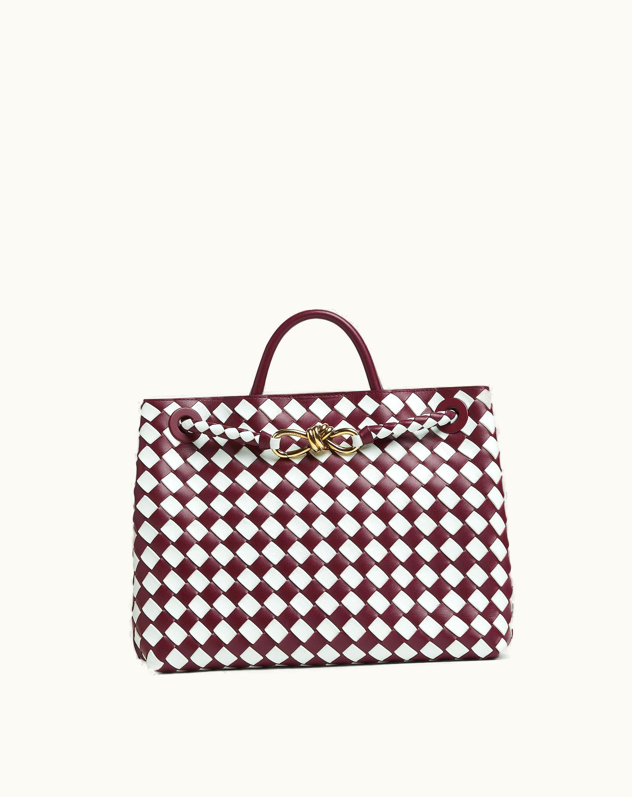 Bottega Veneta Bottega Veneta Women's Medium Andiamo In Barolo / Glacier