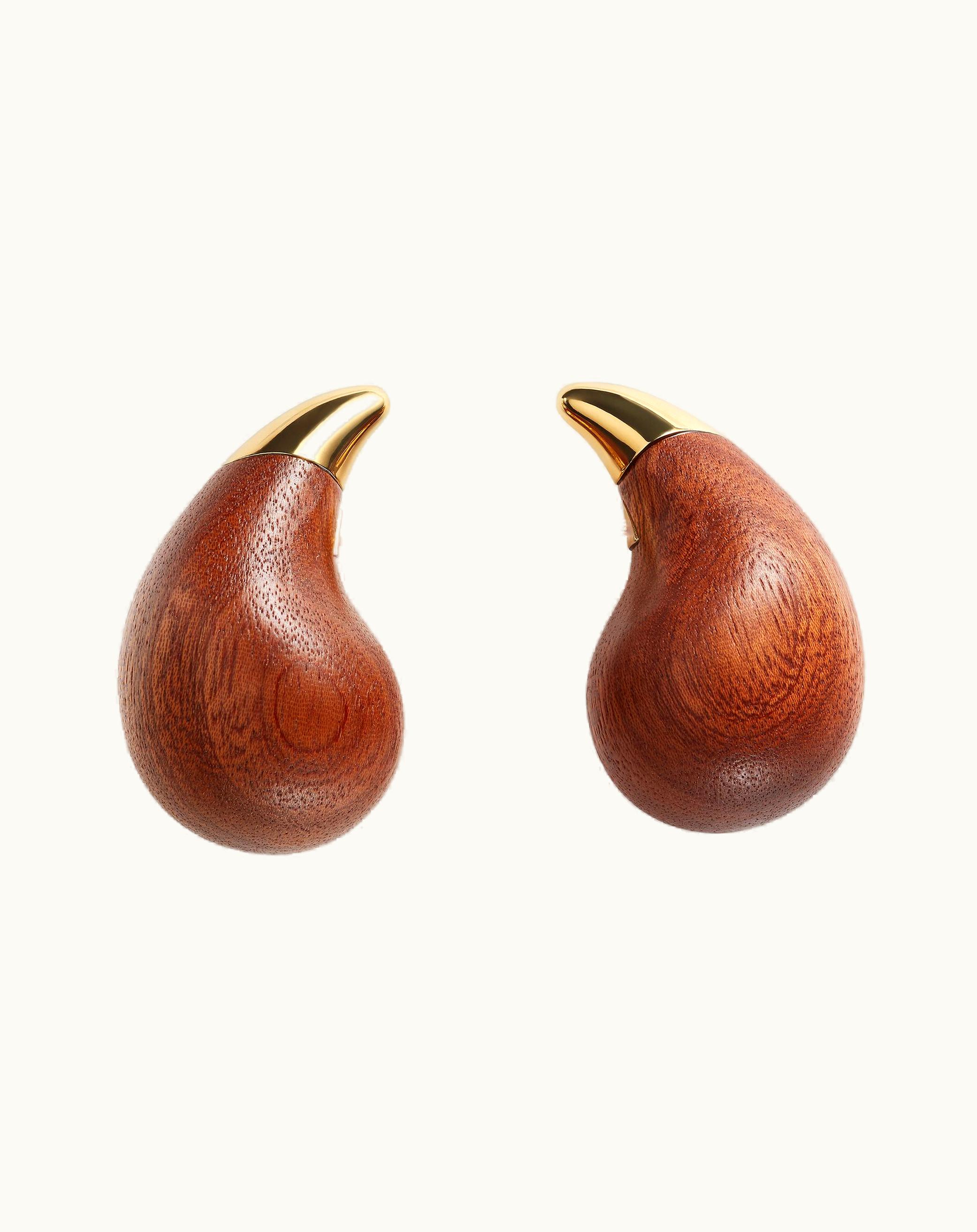 Bottega Veneta Bottega Veneta Women's Drop Wood Earrings In Wood