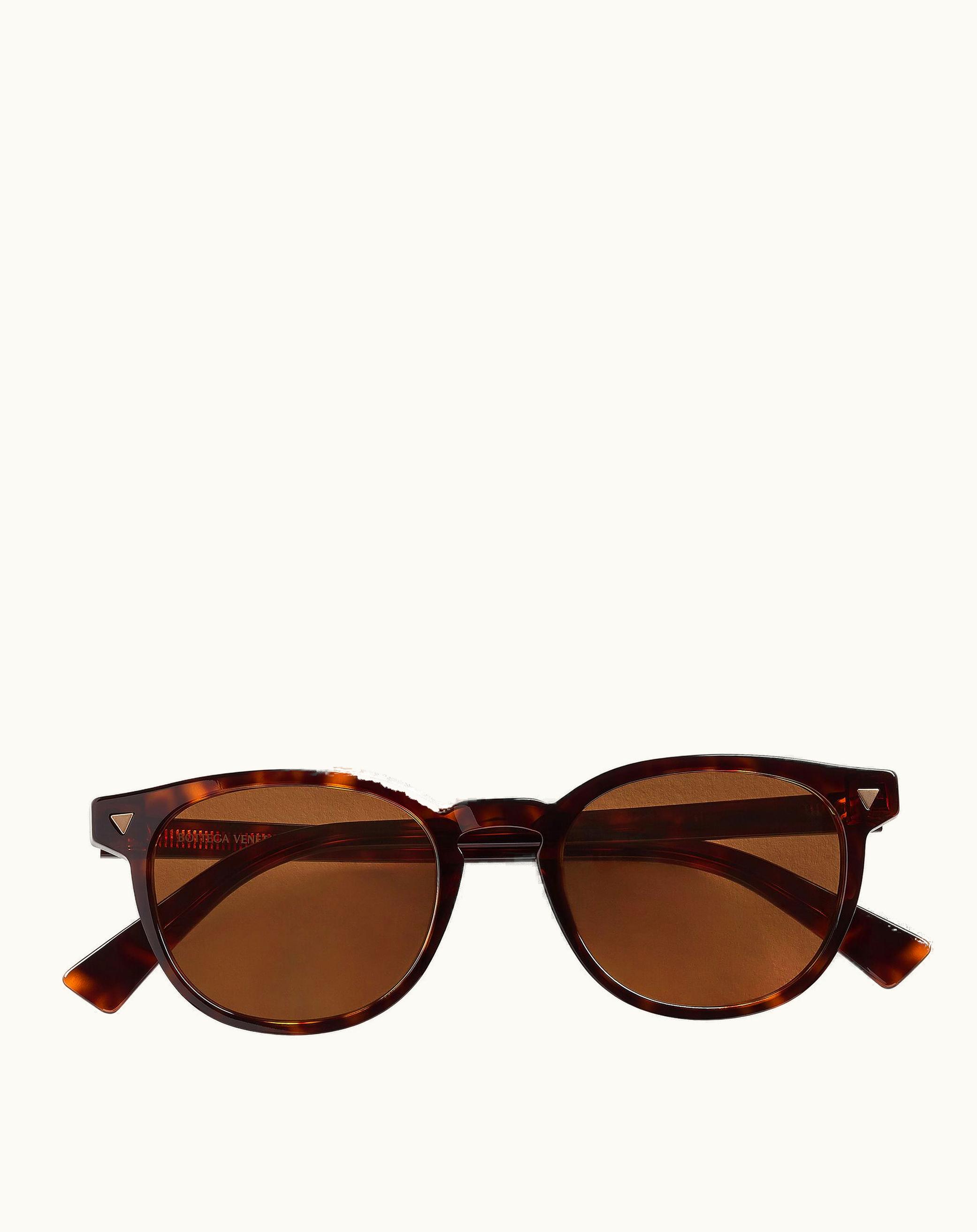 Bottega Veneta Bottega Veneta Men's Soft Recycled Acetate Panthos Sunglasses In Havana / Brown