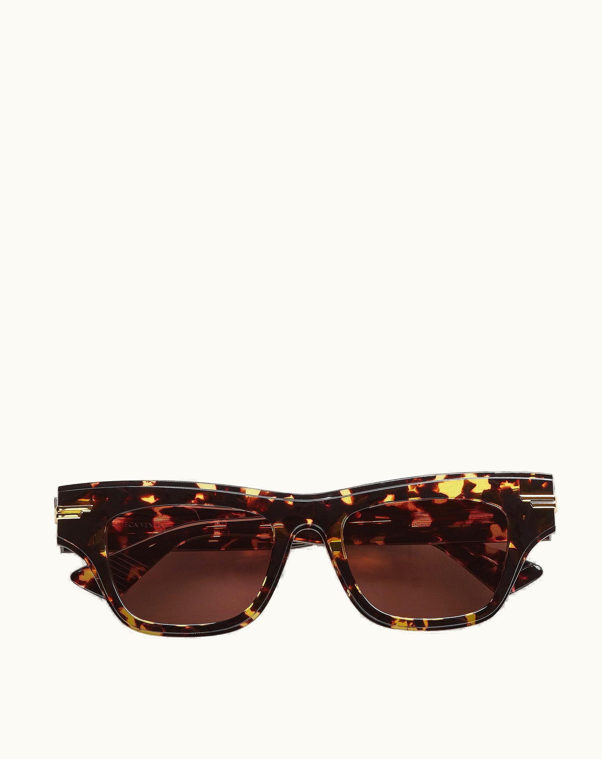 Bottega Veneta Bottega Veneta Women's Mitre Acetate Cat Eye Sunglasses In Havana Brown