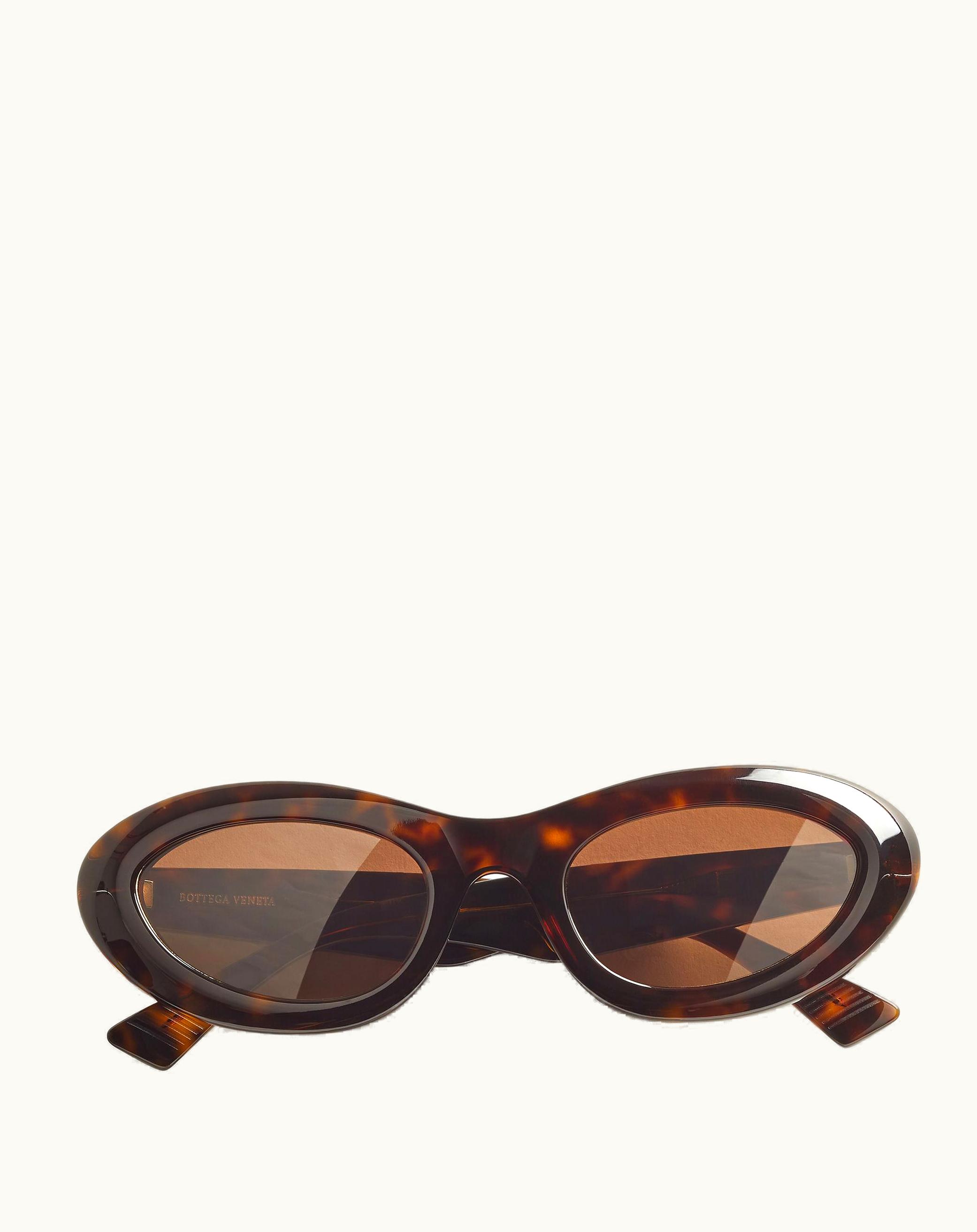 Bottega Veneta Bottega Veneta Bombe Round Sunglasses In Havana / Brown