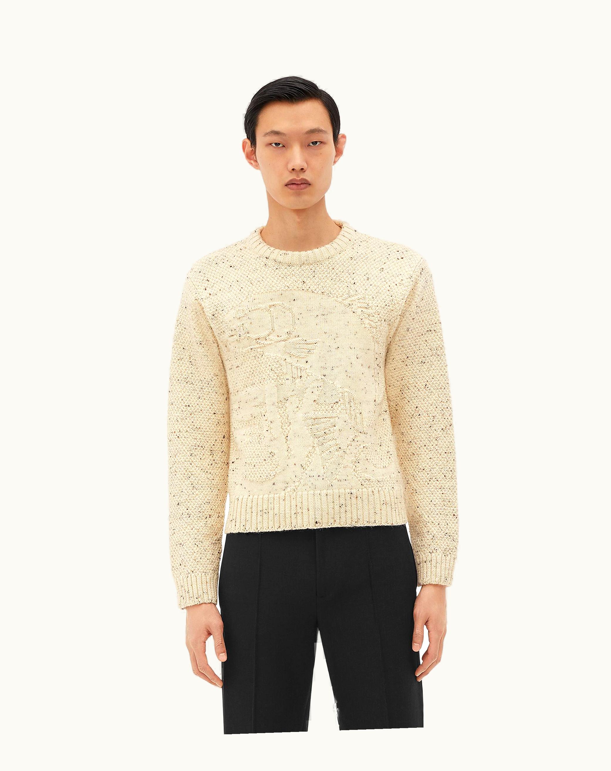 Bottega Veneta Bottega Veneta Men's Graphic Fish Wool Sweater In Dove