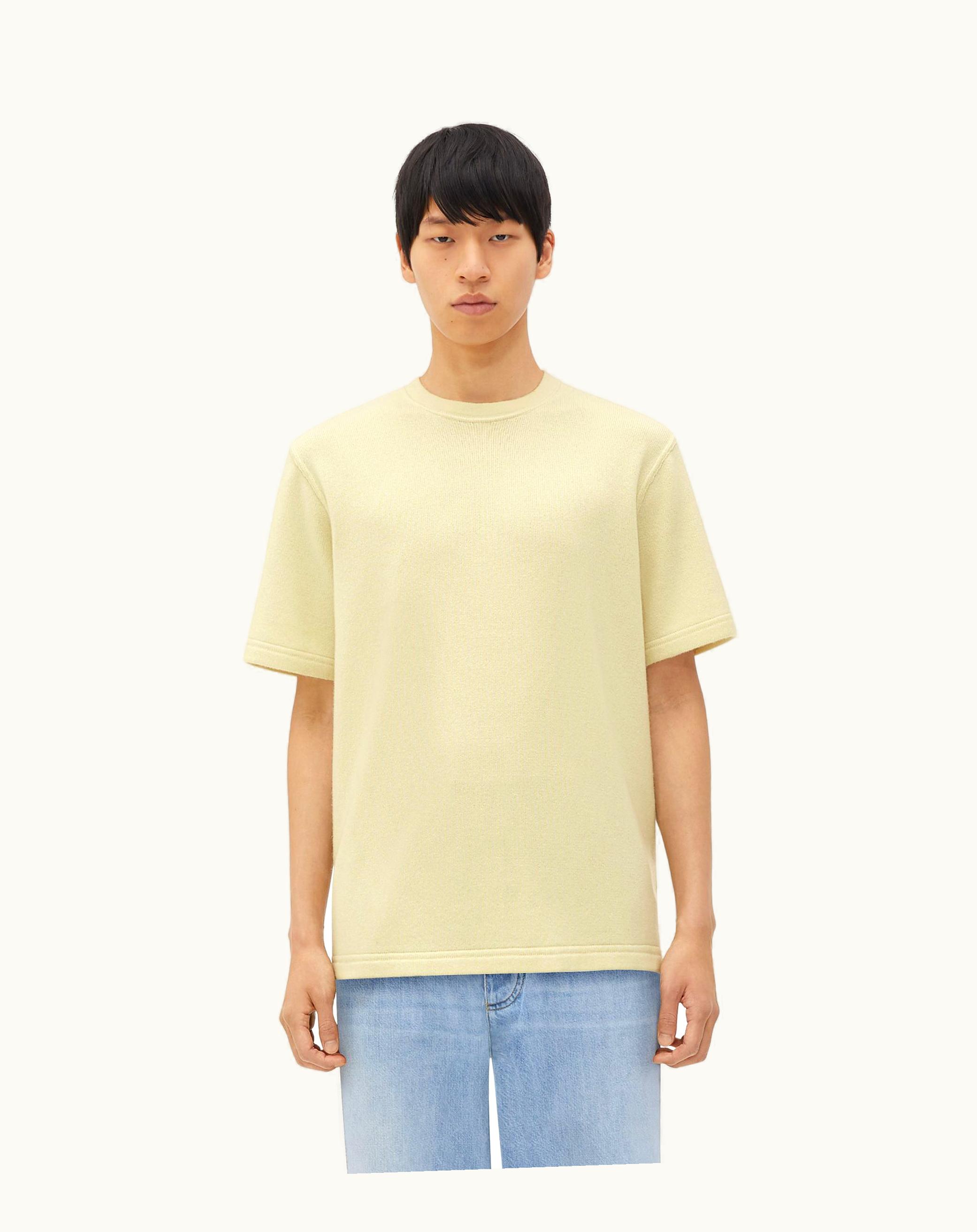Bottega Veneta Bottega Veneta Men's Relaxed Fit Cashmere T-Shirt In Frosting