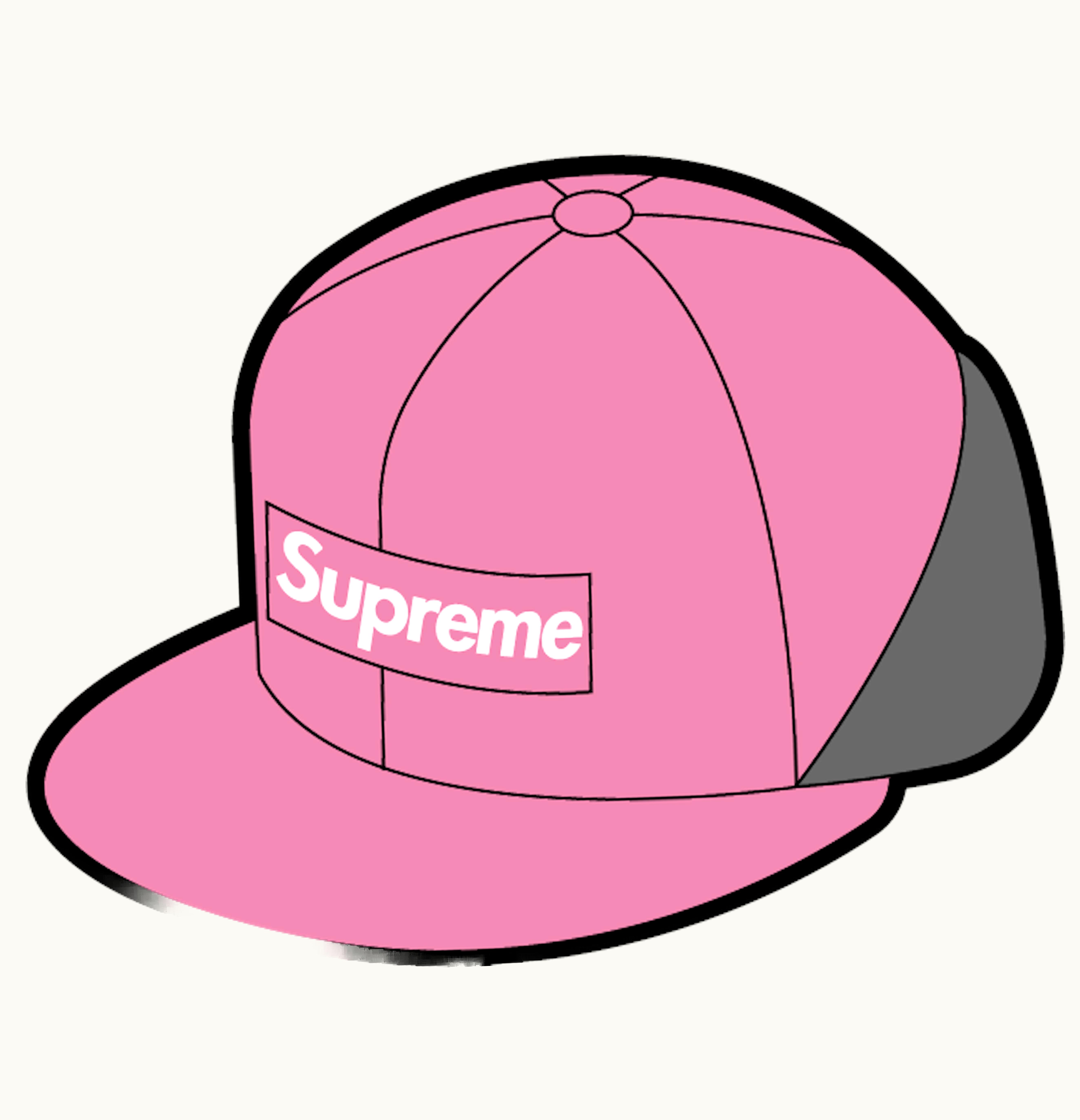 Supreme Supreme WINDSTOPPER Earflap Box Logo New Era Pink