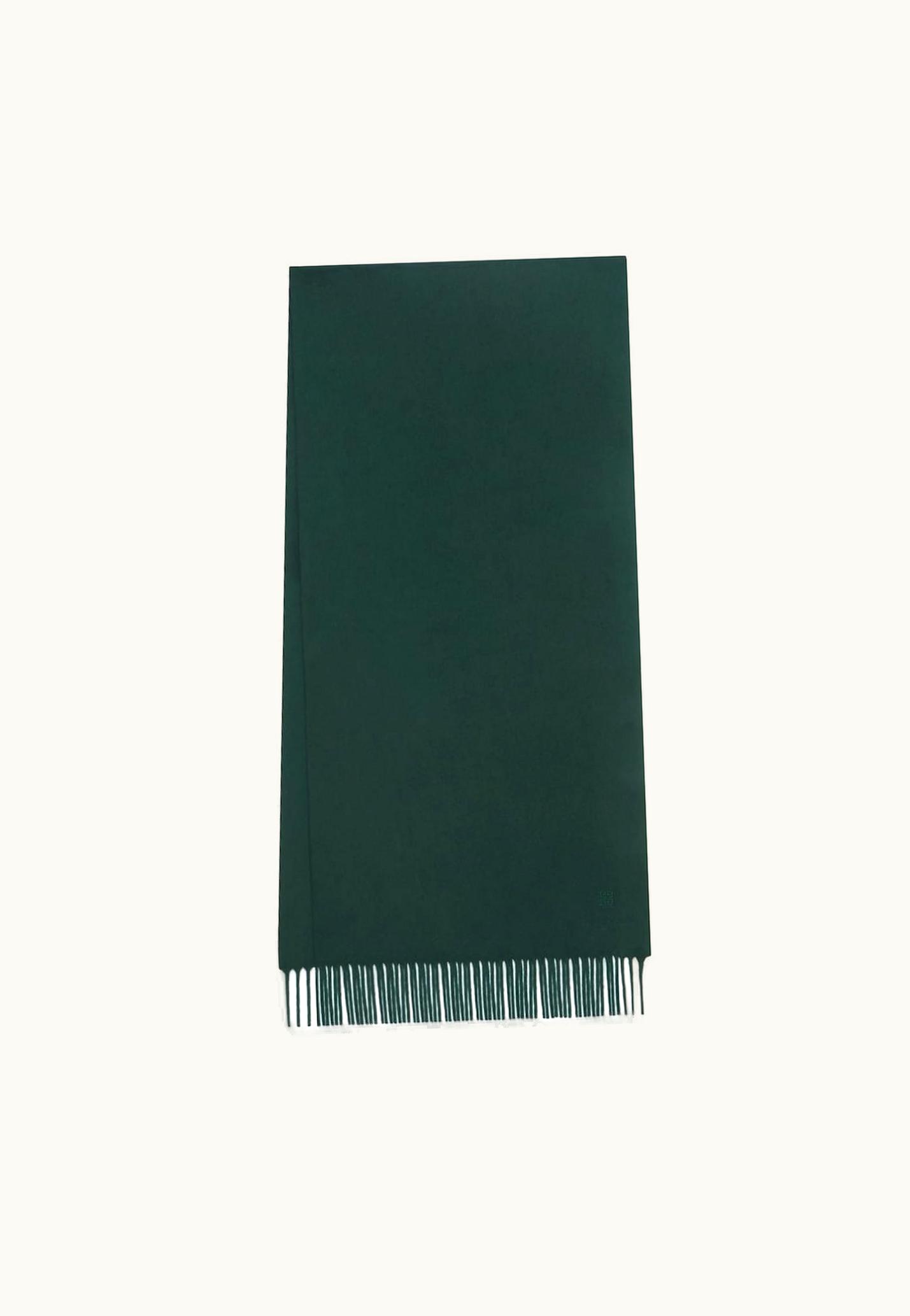 Givenchy Givenchy Scarf In Cashmere - Green Forest