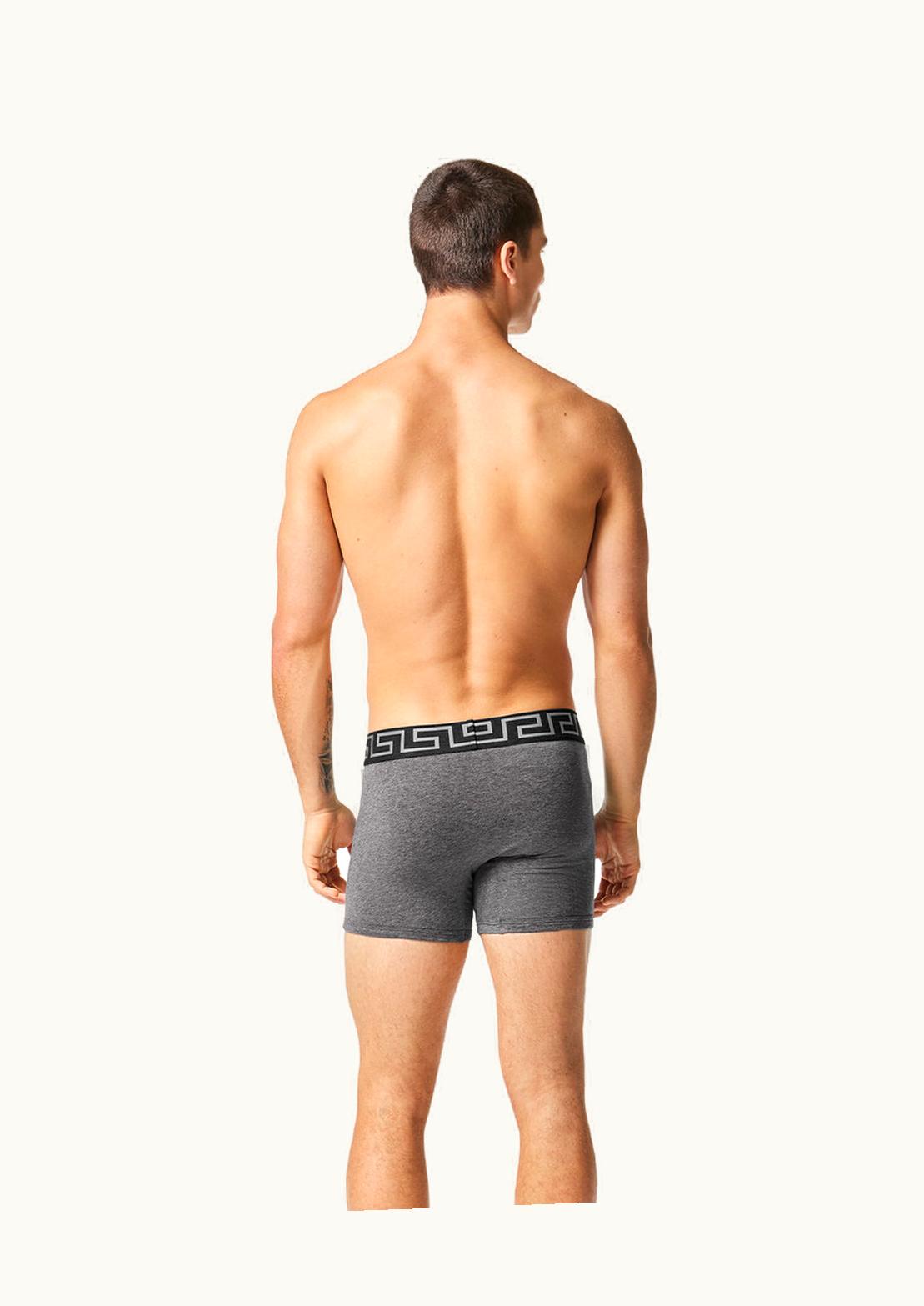 Versace Versace Greca Border Long Trunks Gray