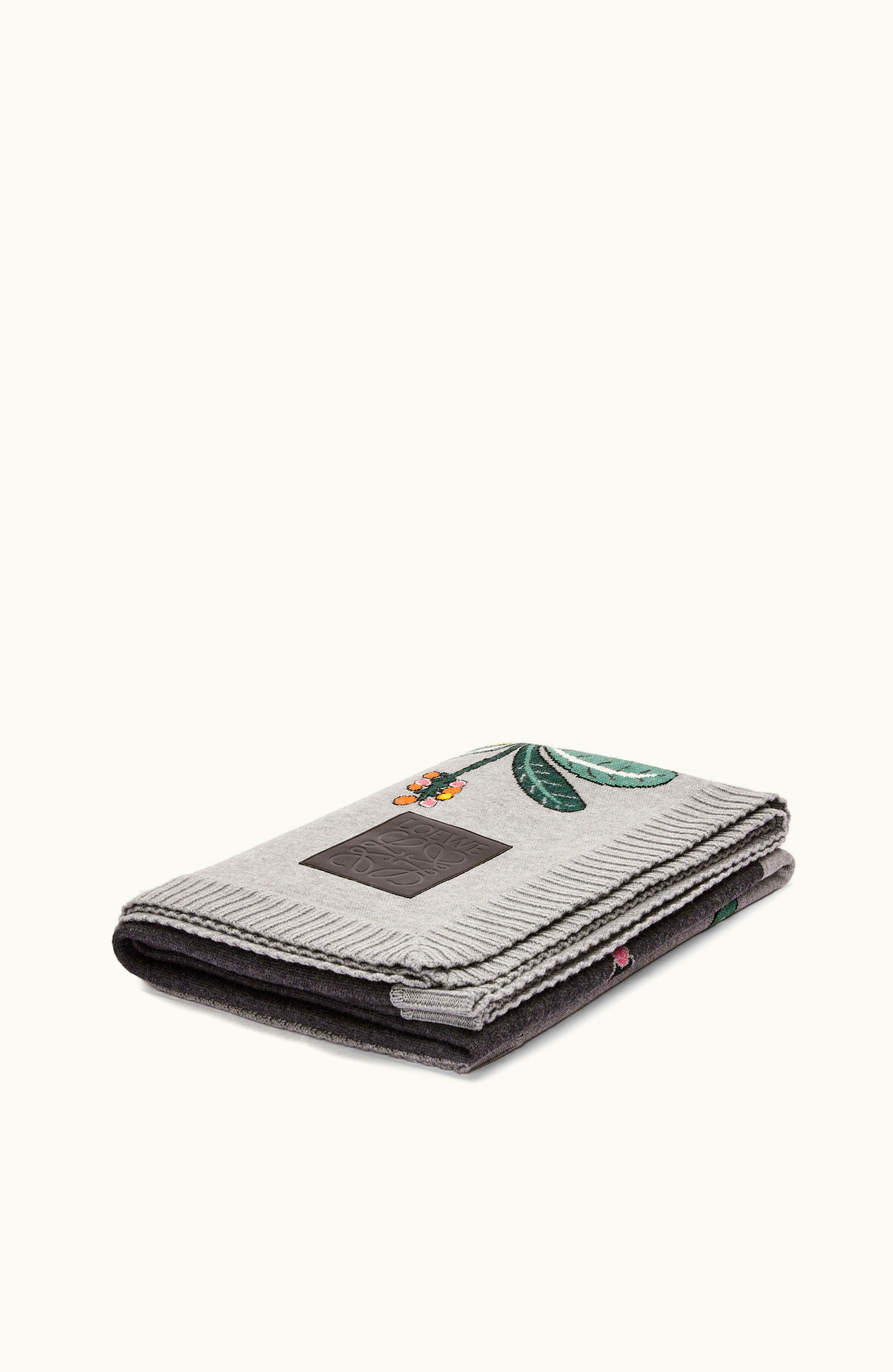 Loewe Loewe Blanket In Wool Multicolor