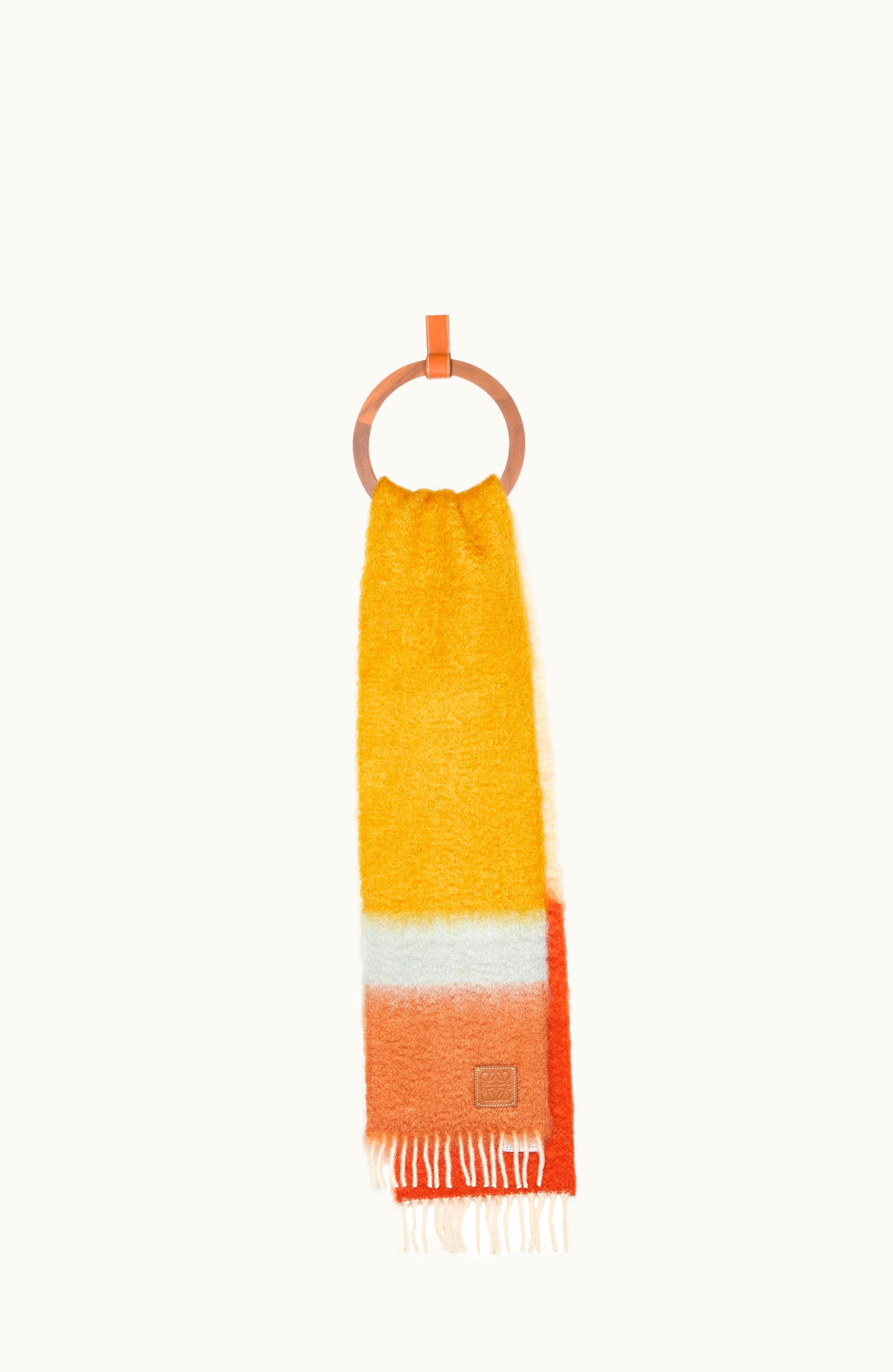Loewe Loewe Scarf In Mohair And Wool Camel / Multicolor