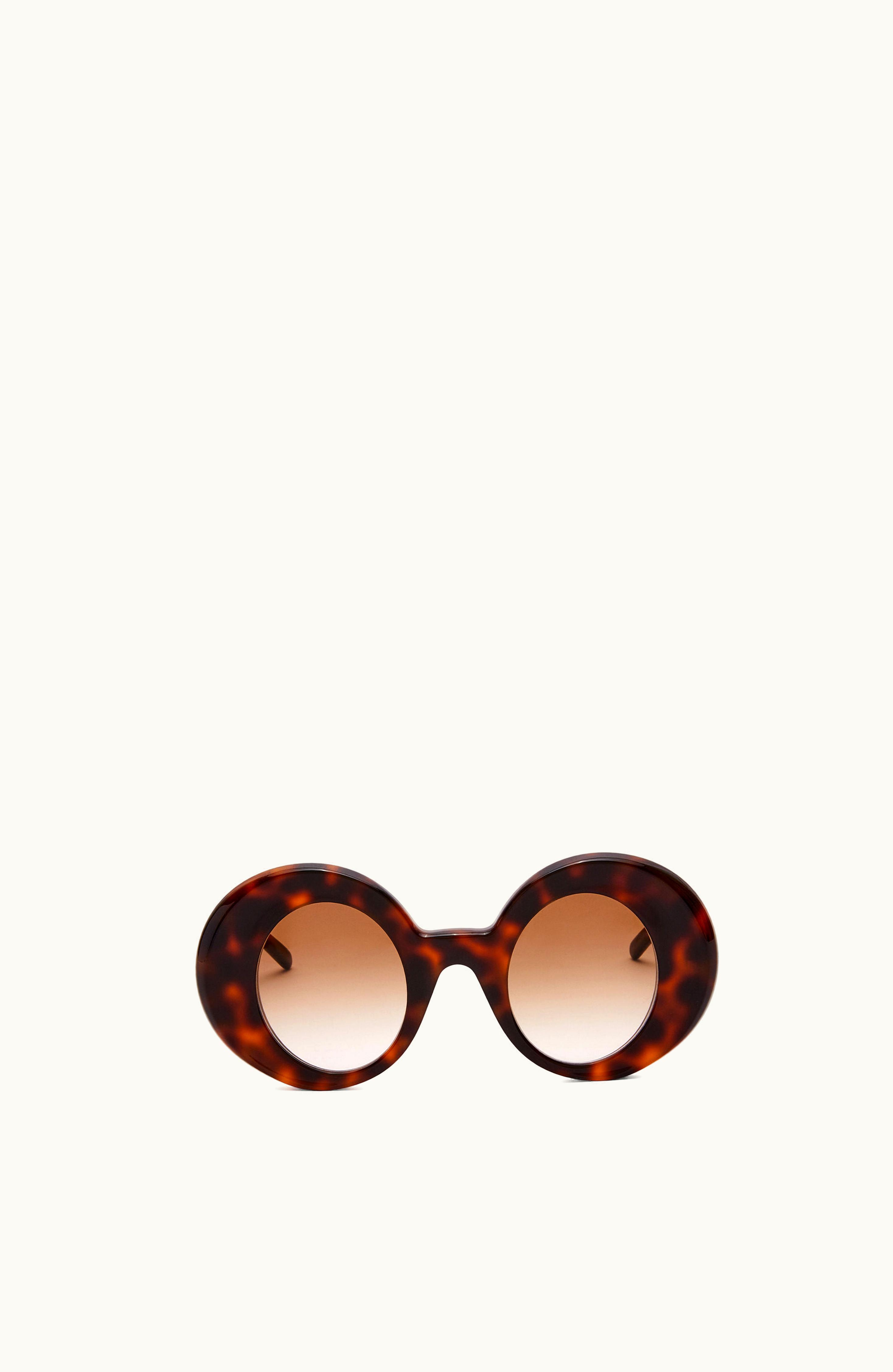 Loewe Loewe Oversized Round Sunglasses In Acetate Havana