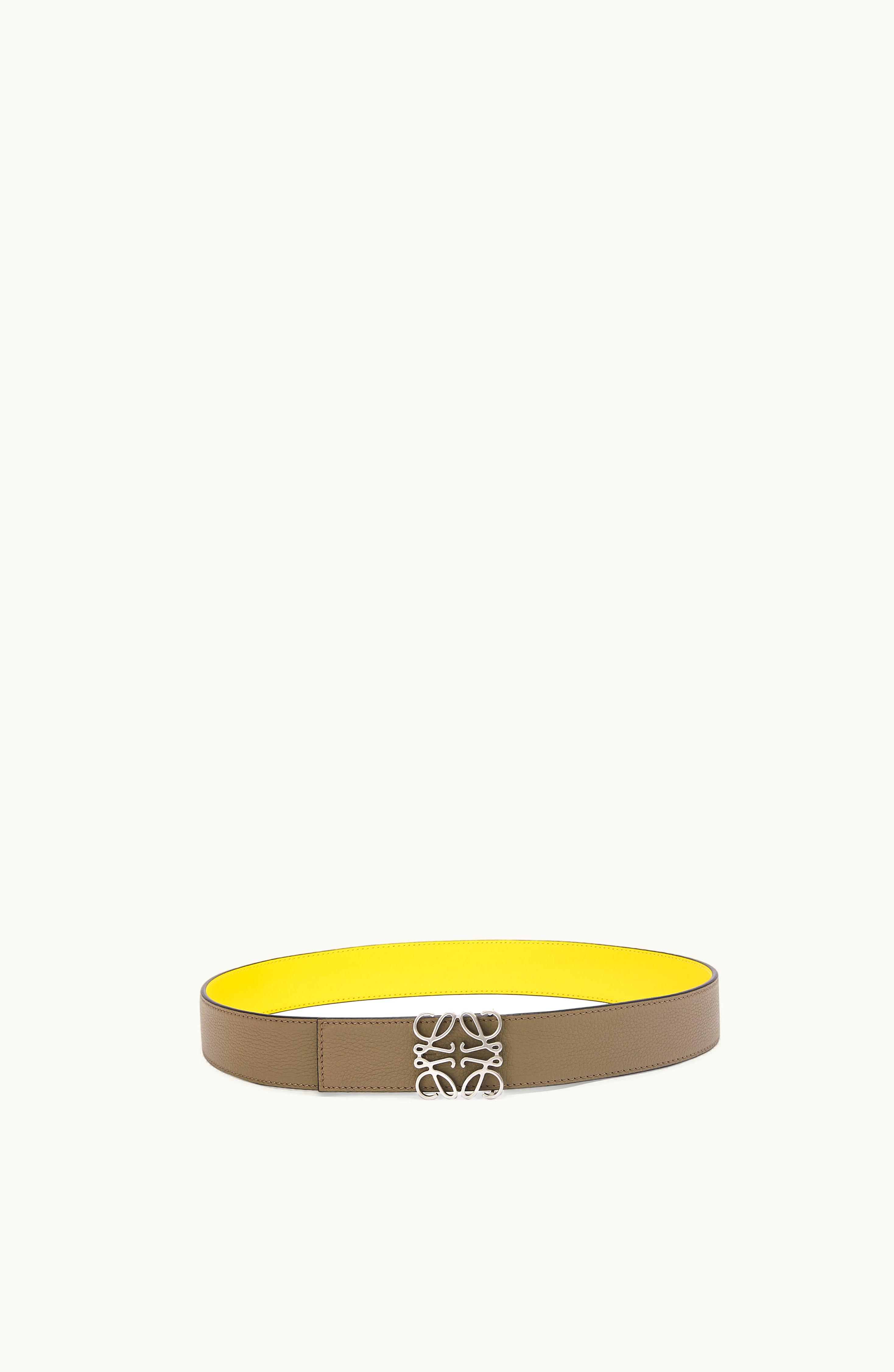 Loewe Loewe Reversible Anagram Belt In Soft Grained Calfskin And Smooth Calfskin Laurel Green / Lemon / Palladium