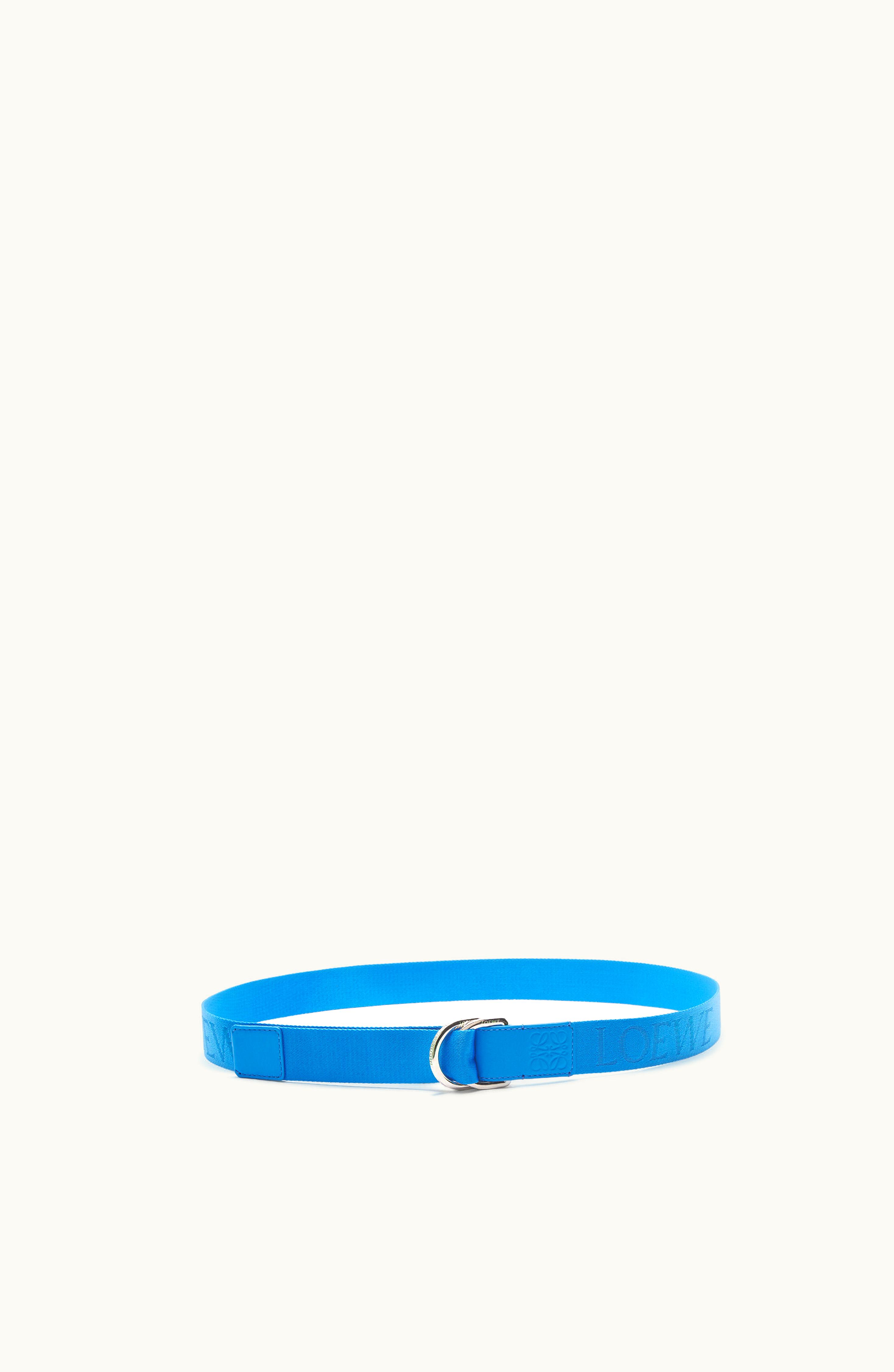 Loewe Loewe D-ring Webbing Belt In Nylon And Calfskin Arctic Blue / Palladium