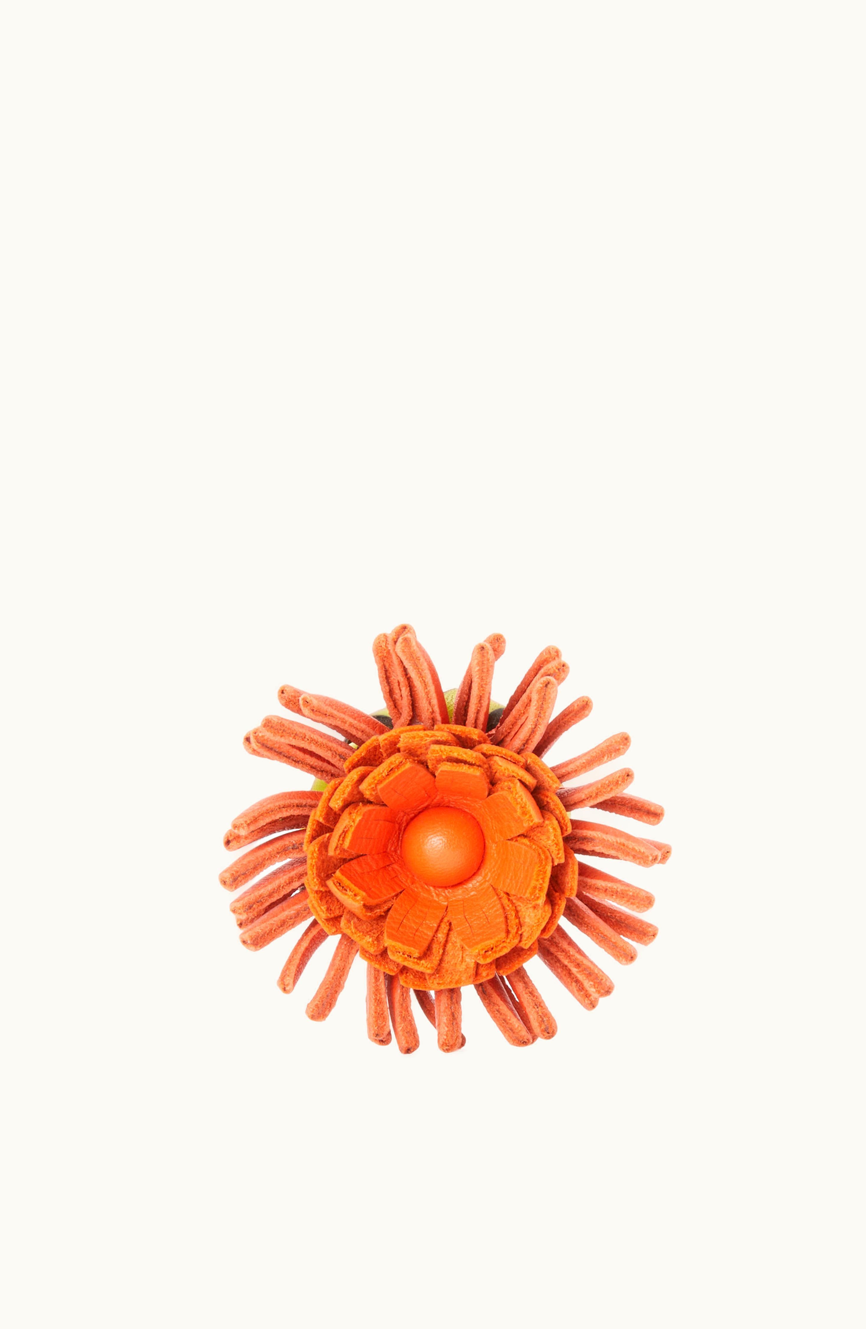 Loewe Loewe Cactus Stud Flower In Classic Calfskin Green / Coral