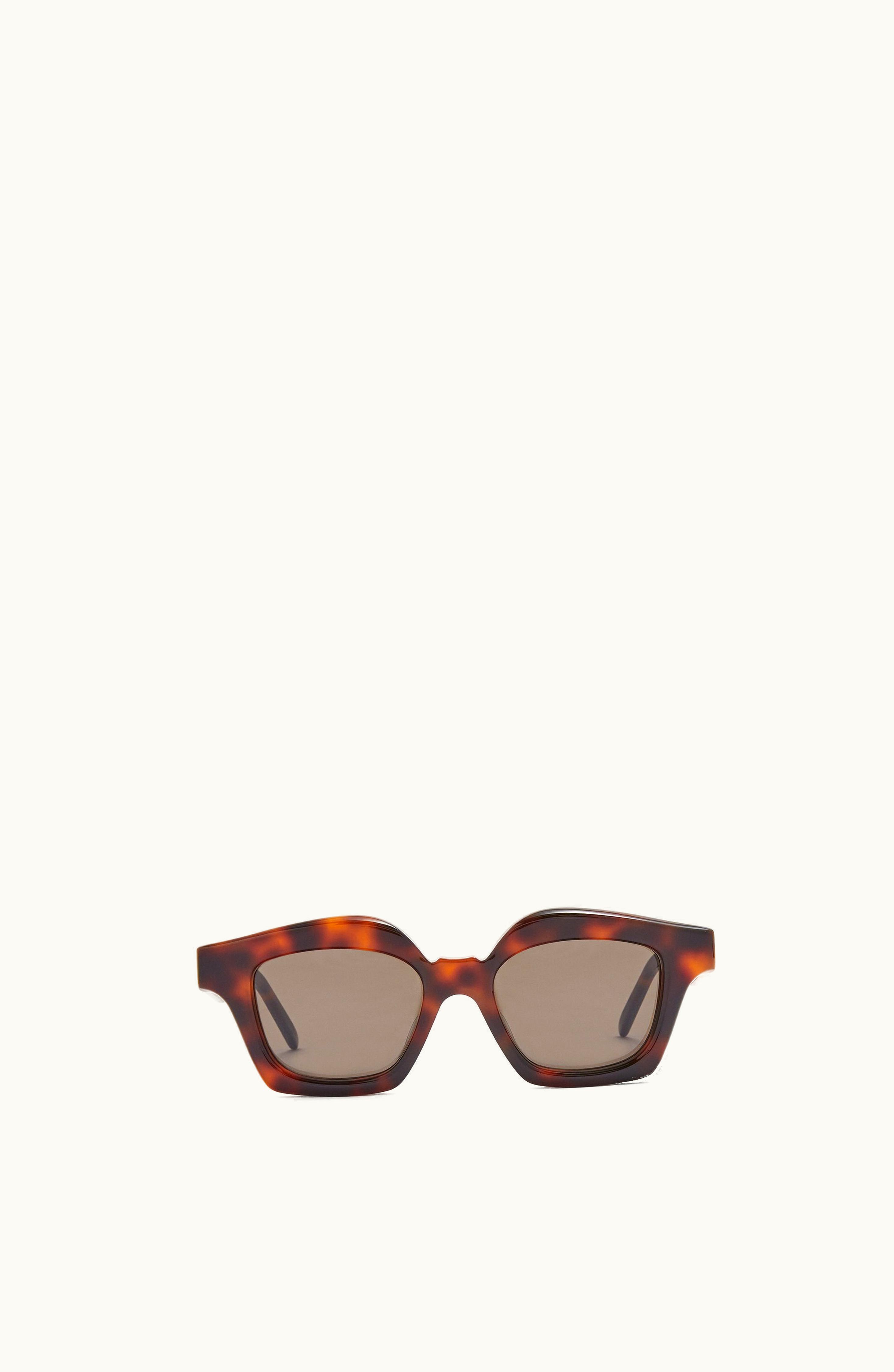 Loewe Loewe Small Browline Sunglasses In Acetate Shiny Classic Havana