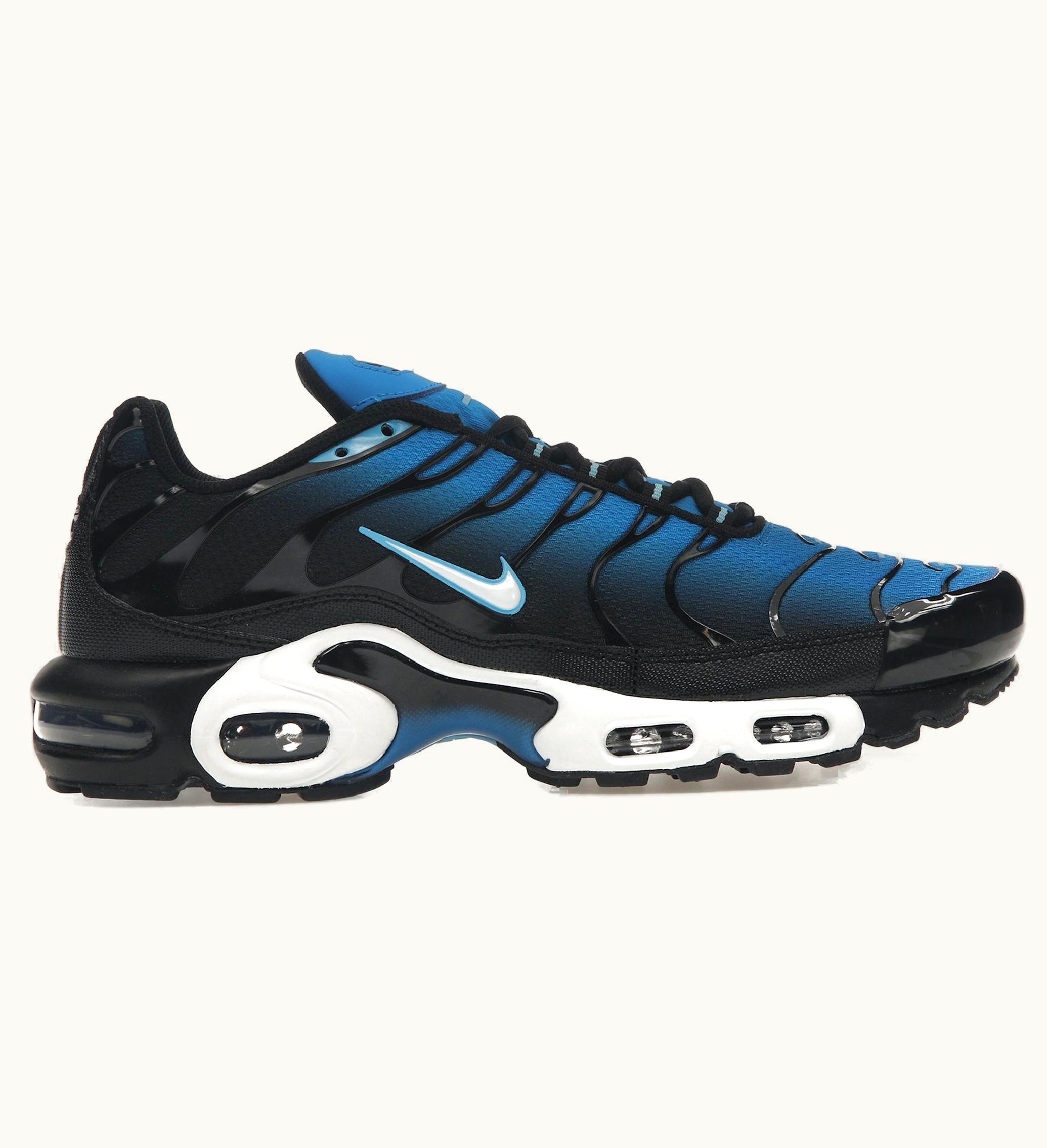 Nike Nike Air Max Plus Aquarius Blue