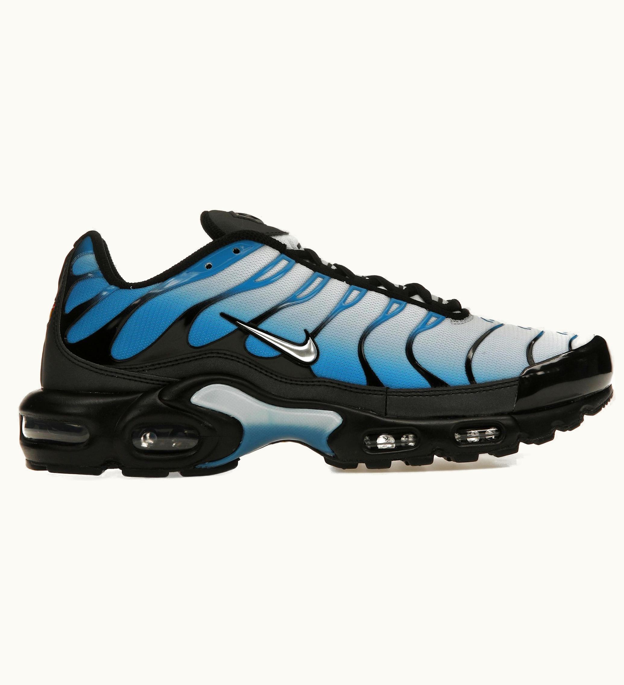 Nike Nike Air Max Plus Blue Gradient