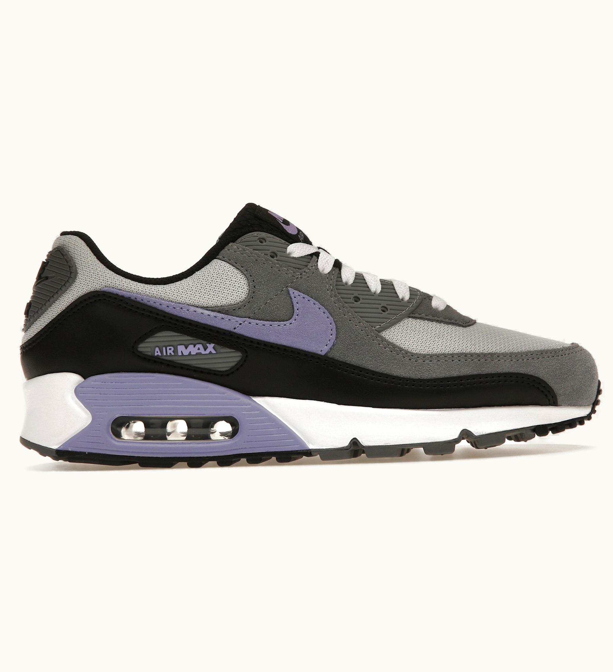 Nike Nike Air Max 90 Photon Dust Light Thistle