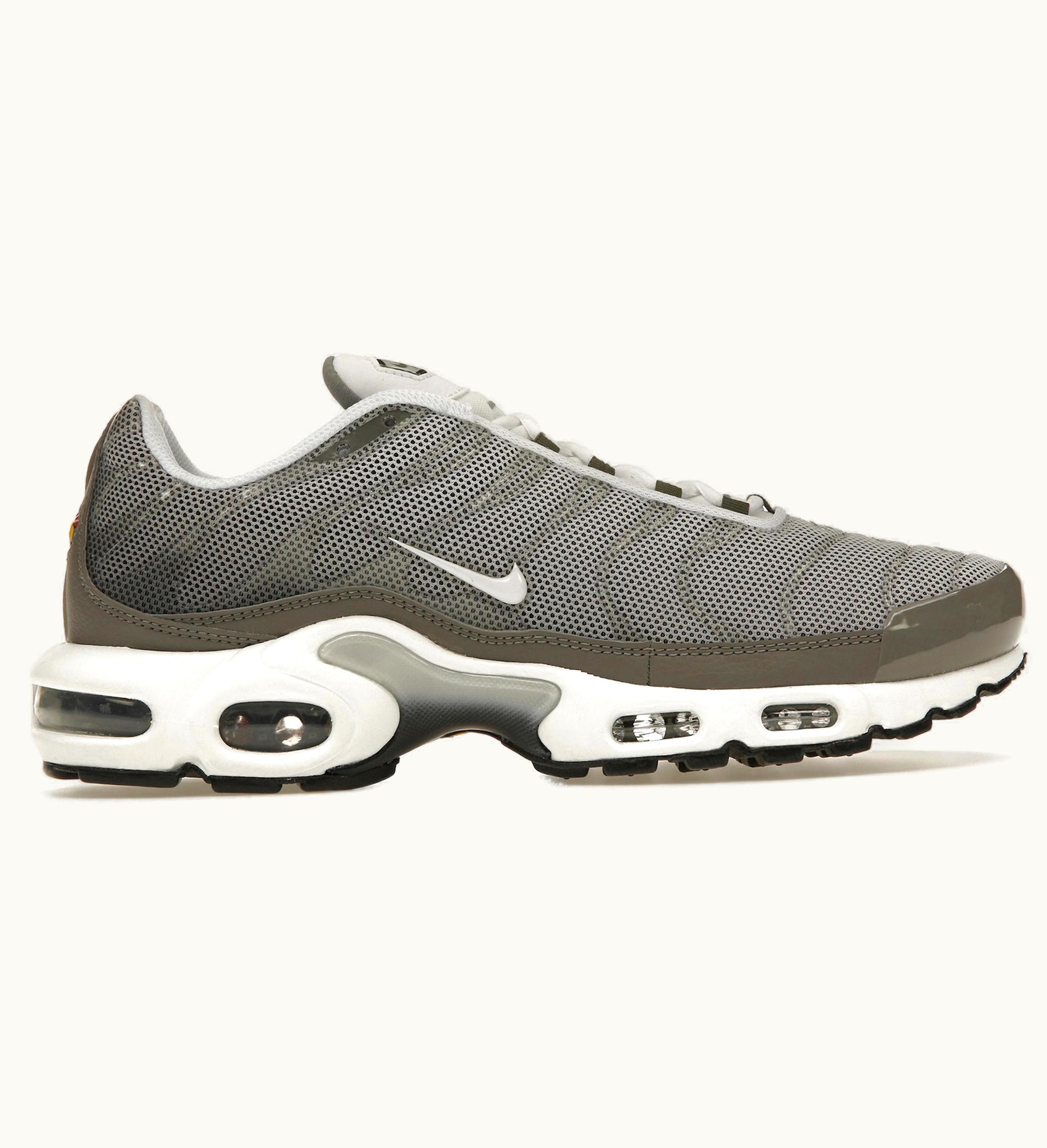 Nike Nike Air Max Plus Flat Pewter