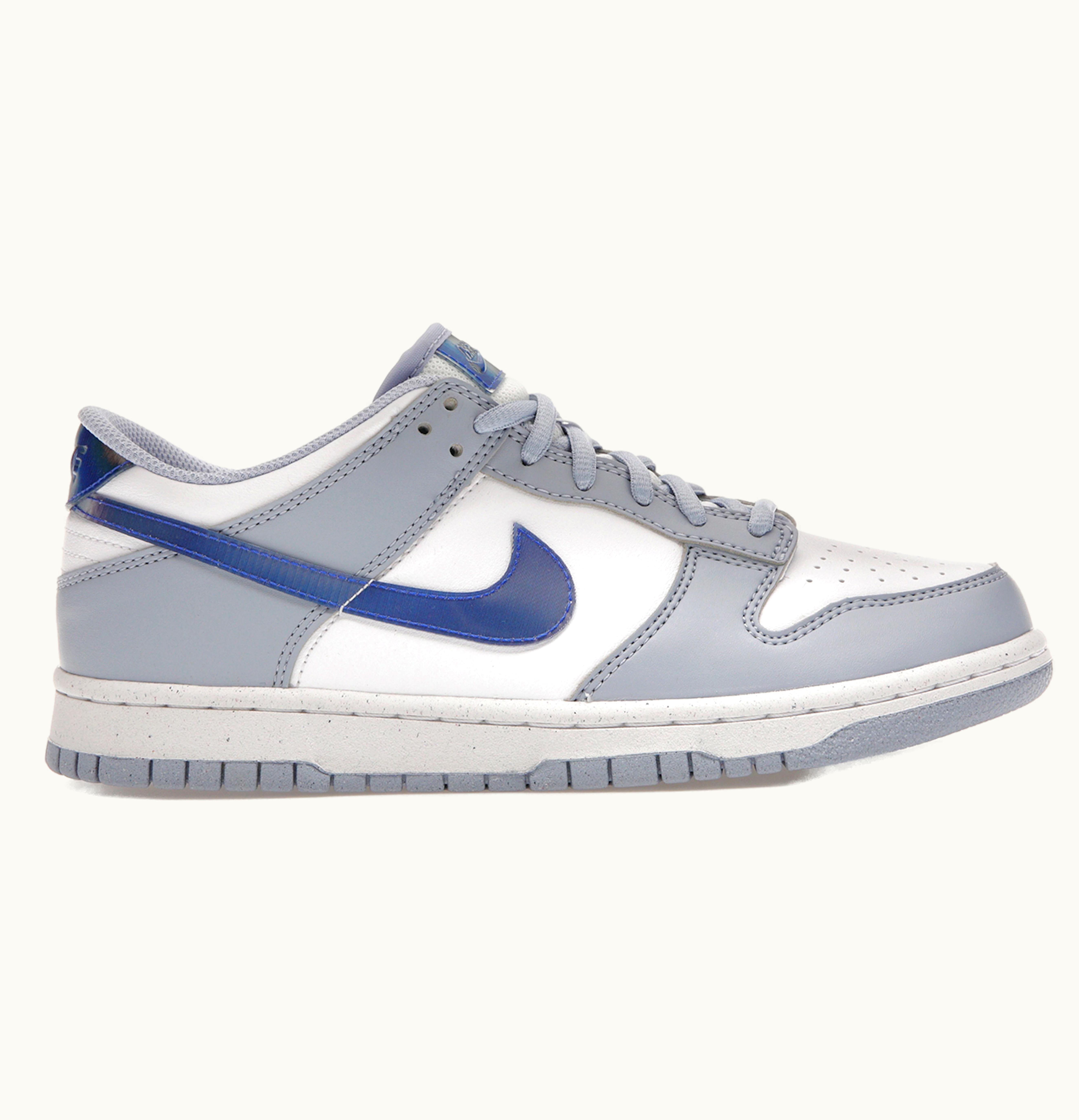 Nike Dunk Low Next Blue Whisper Iridescent Gs