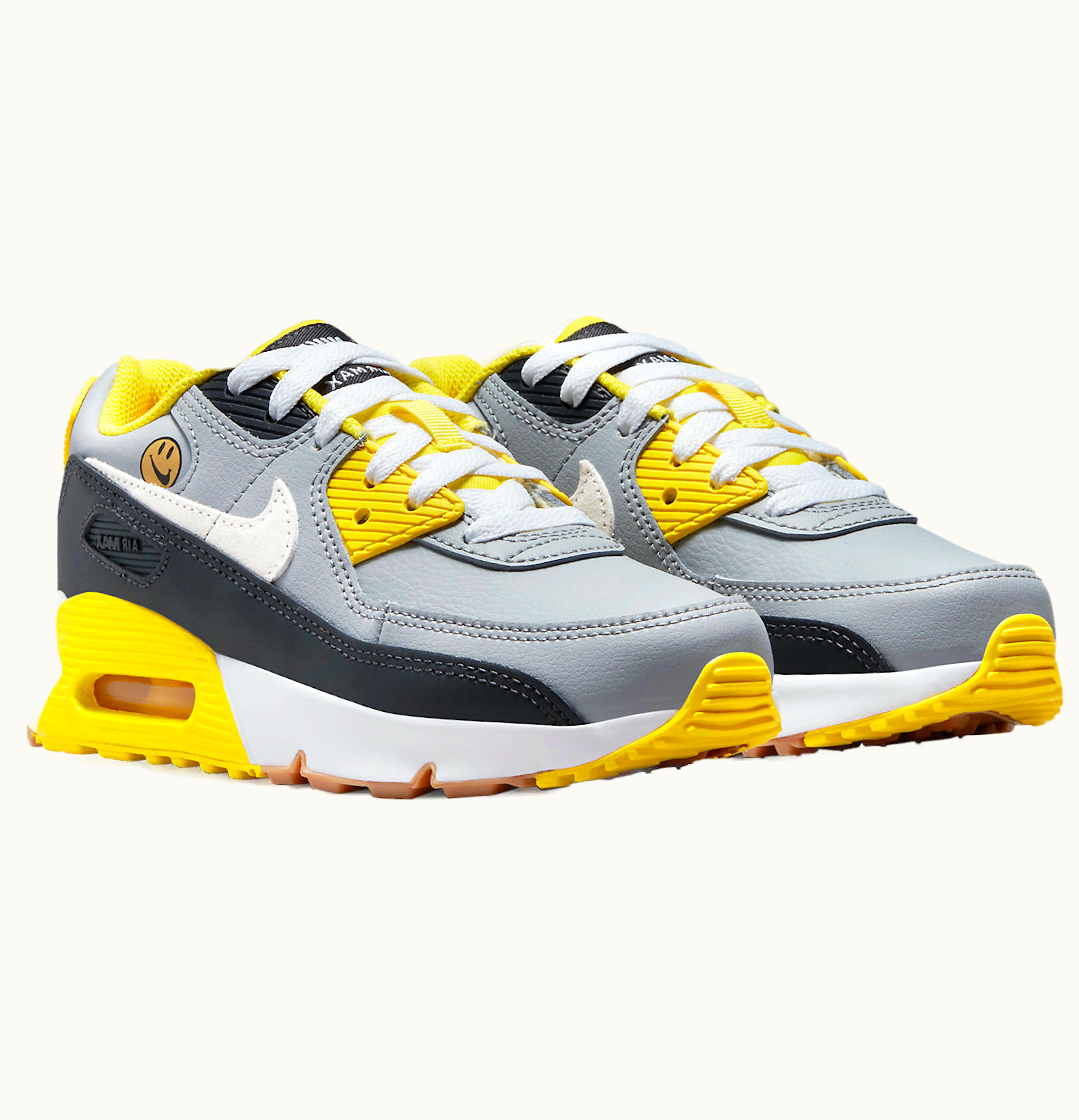 Nike Nike Air Max 90 LTR Go the Extra Smile GS