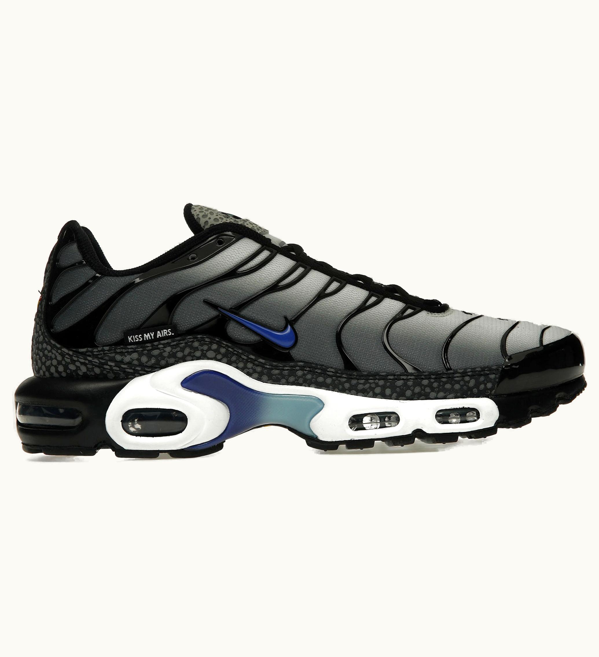 Nike Air Max Plus Kiss My Airs Metallic Silver