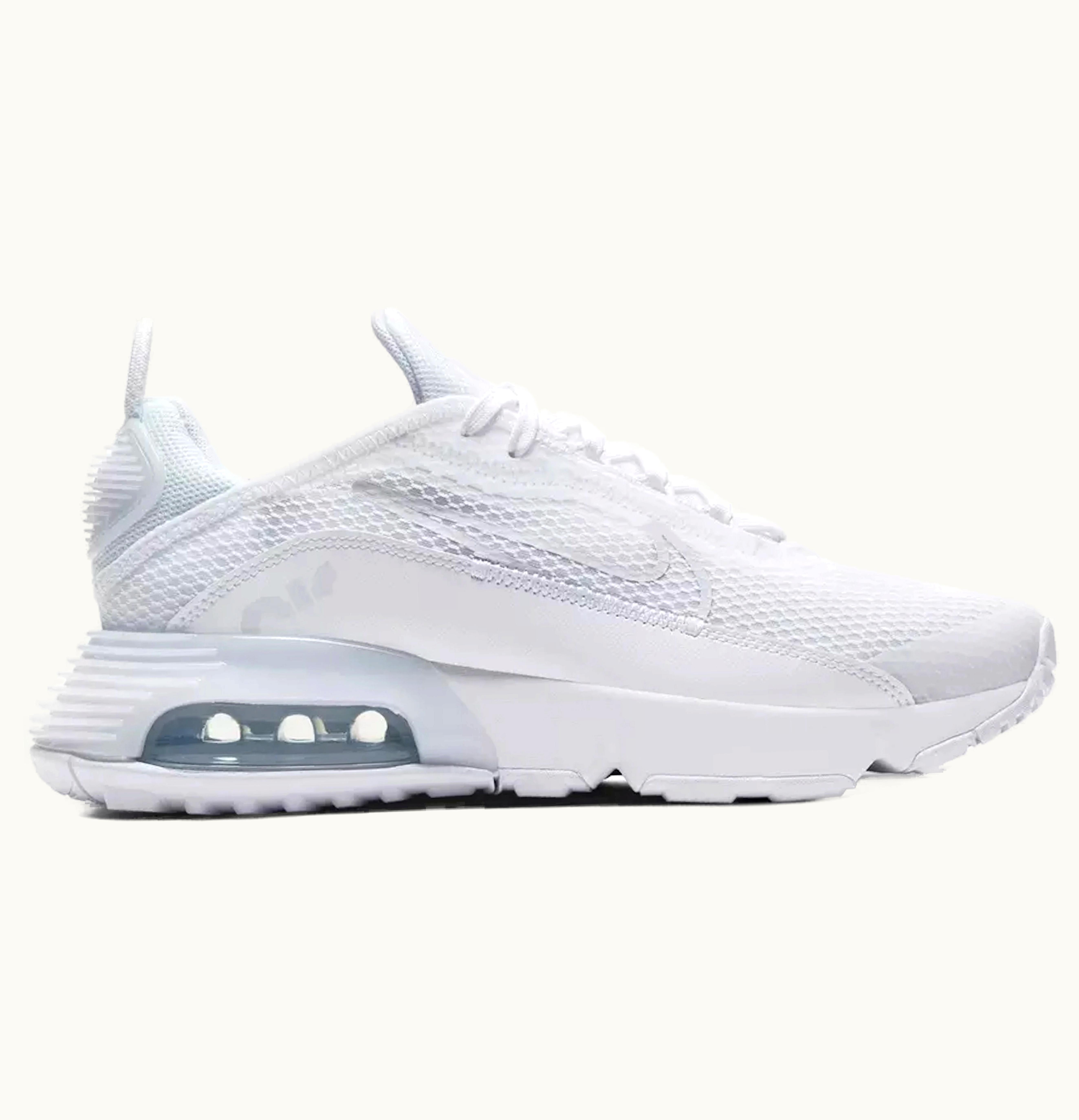 Nike Nike Air Max 2090 White Wolf Grey GS