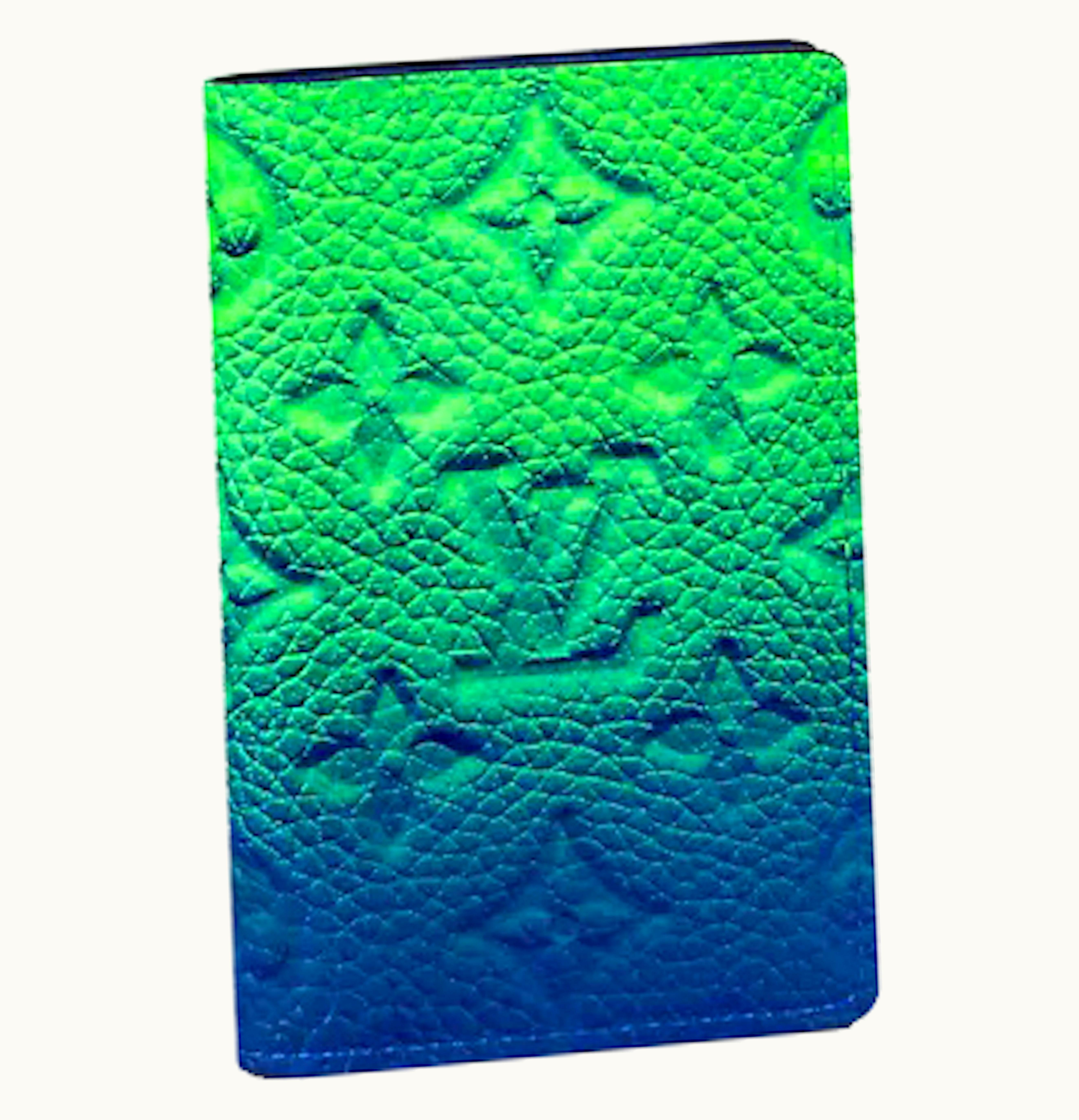 Louis Vuitton Louis Vuitton Pocket Organizer Taurillon Illusion Blue Green