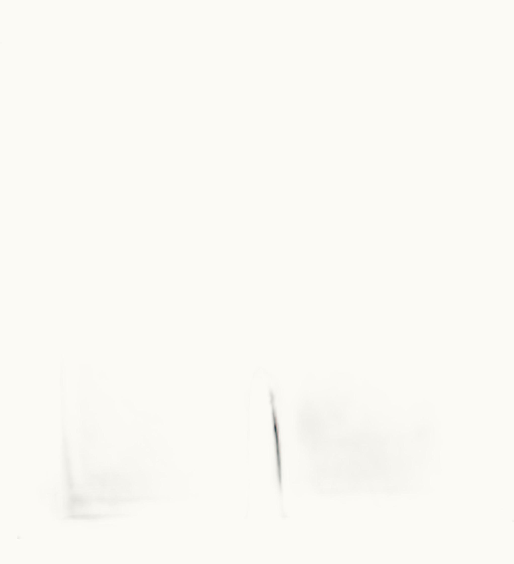 Adidas Adidas Ivy Park High Waisted Shorts Real Coral