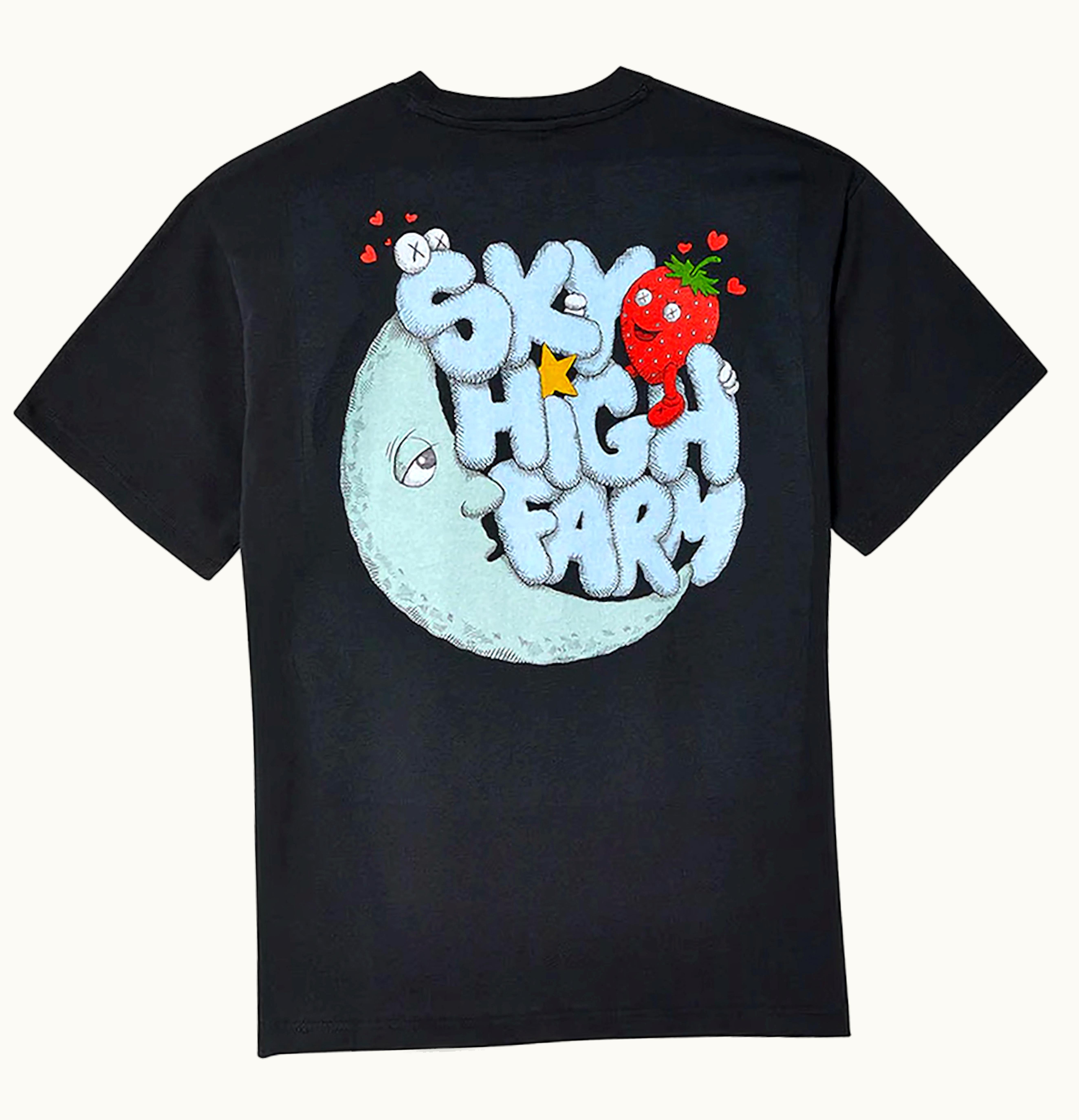 Nike Nike X KAWS Sky High Farm Workwear T Shirt Black