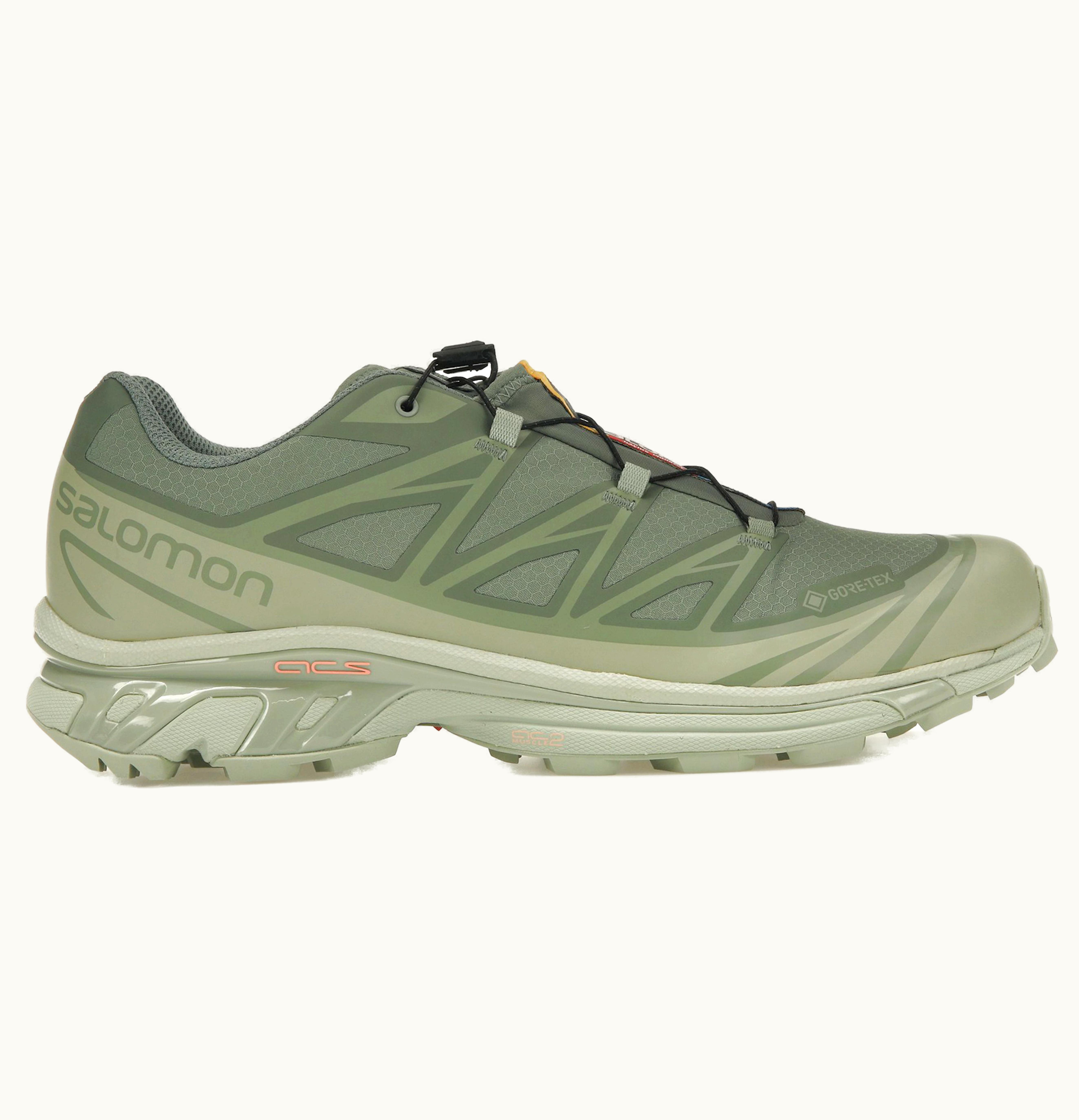 Salomon Salomon XT 6 Gore Tex Desert Sage Lily Pad