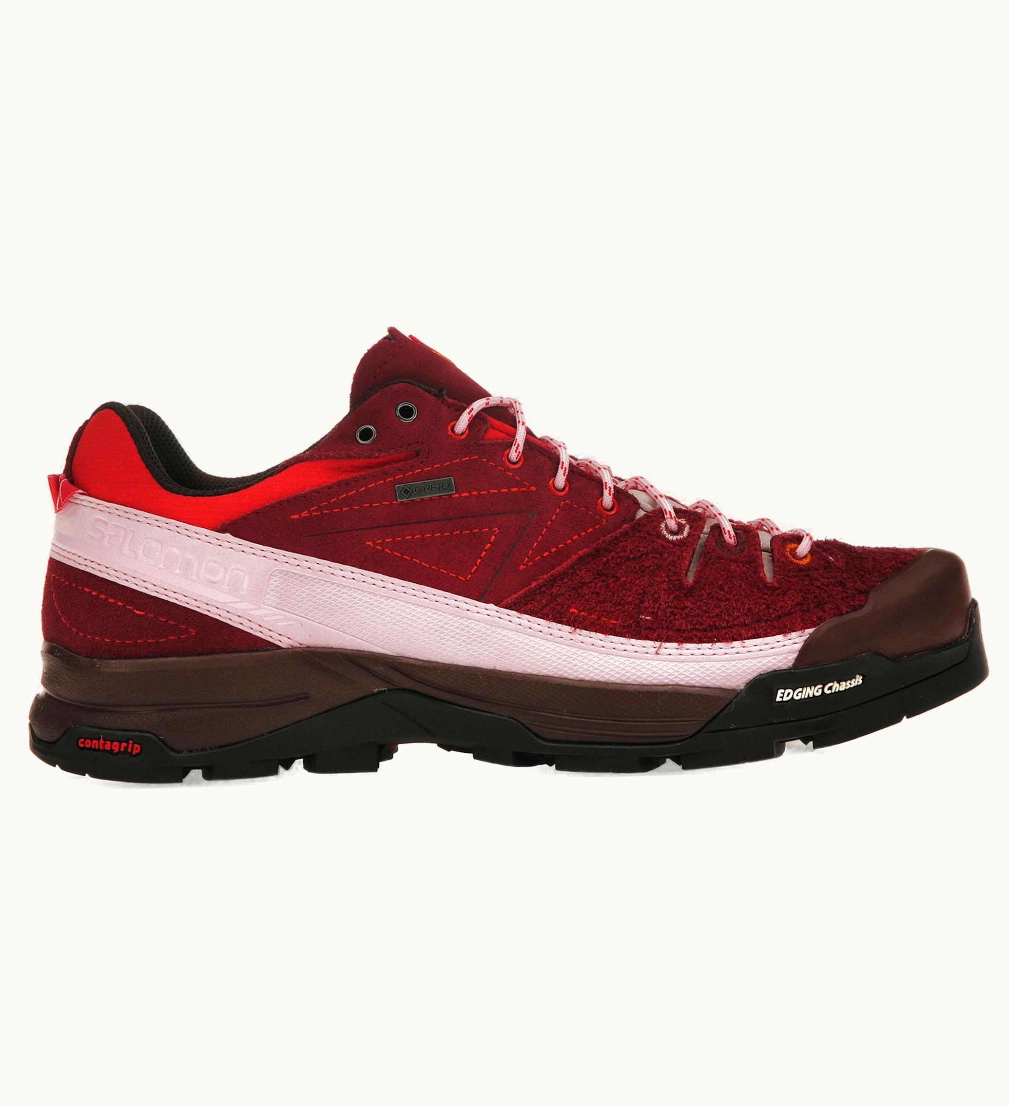Salomon X Alpages Gore Tex The Broken Arm