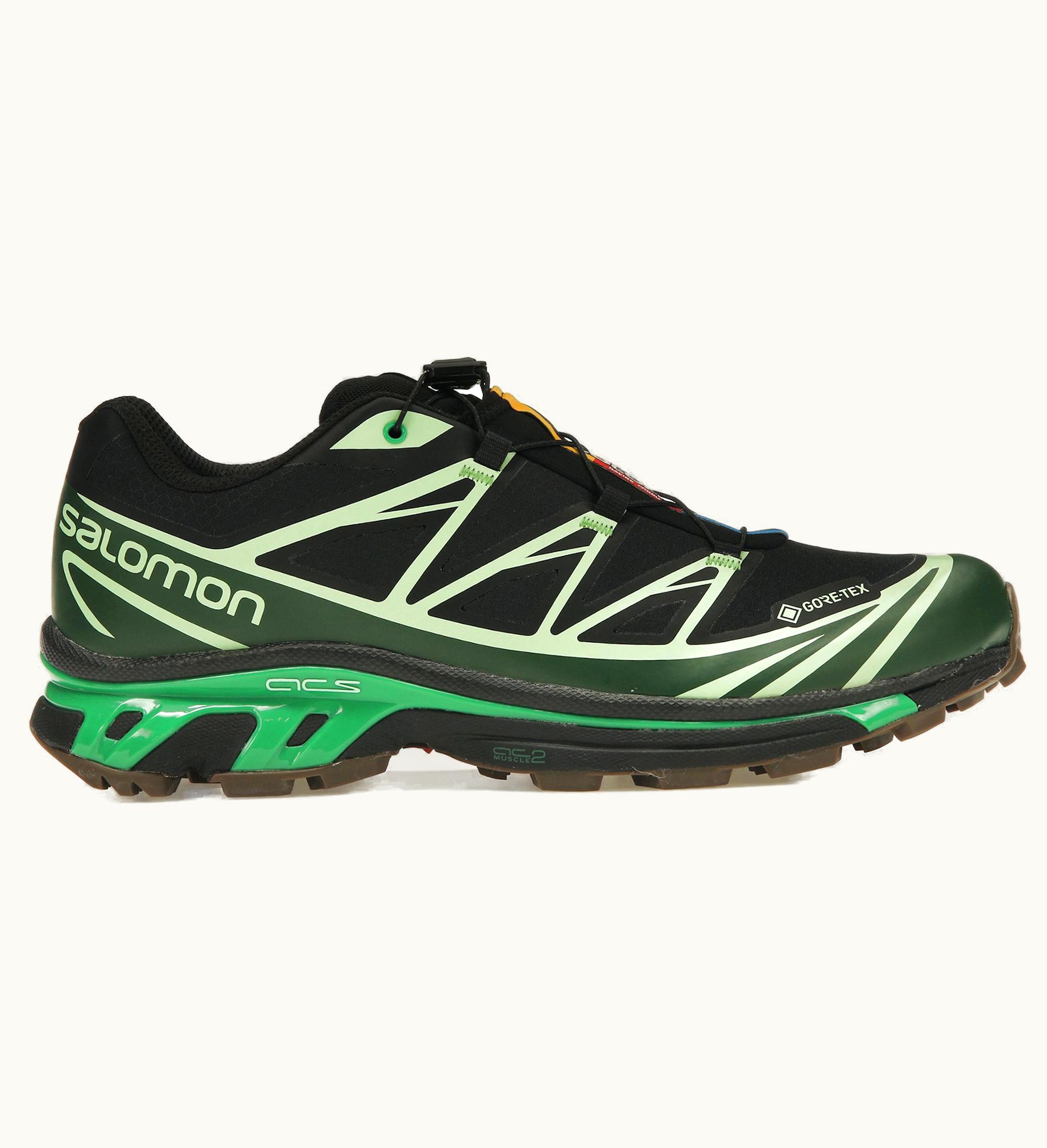 Salomon Advanced XT 6 Gore Tex Eden Green Ash
